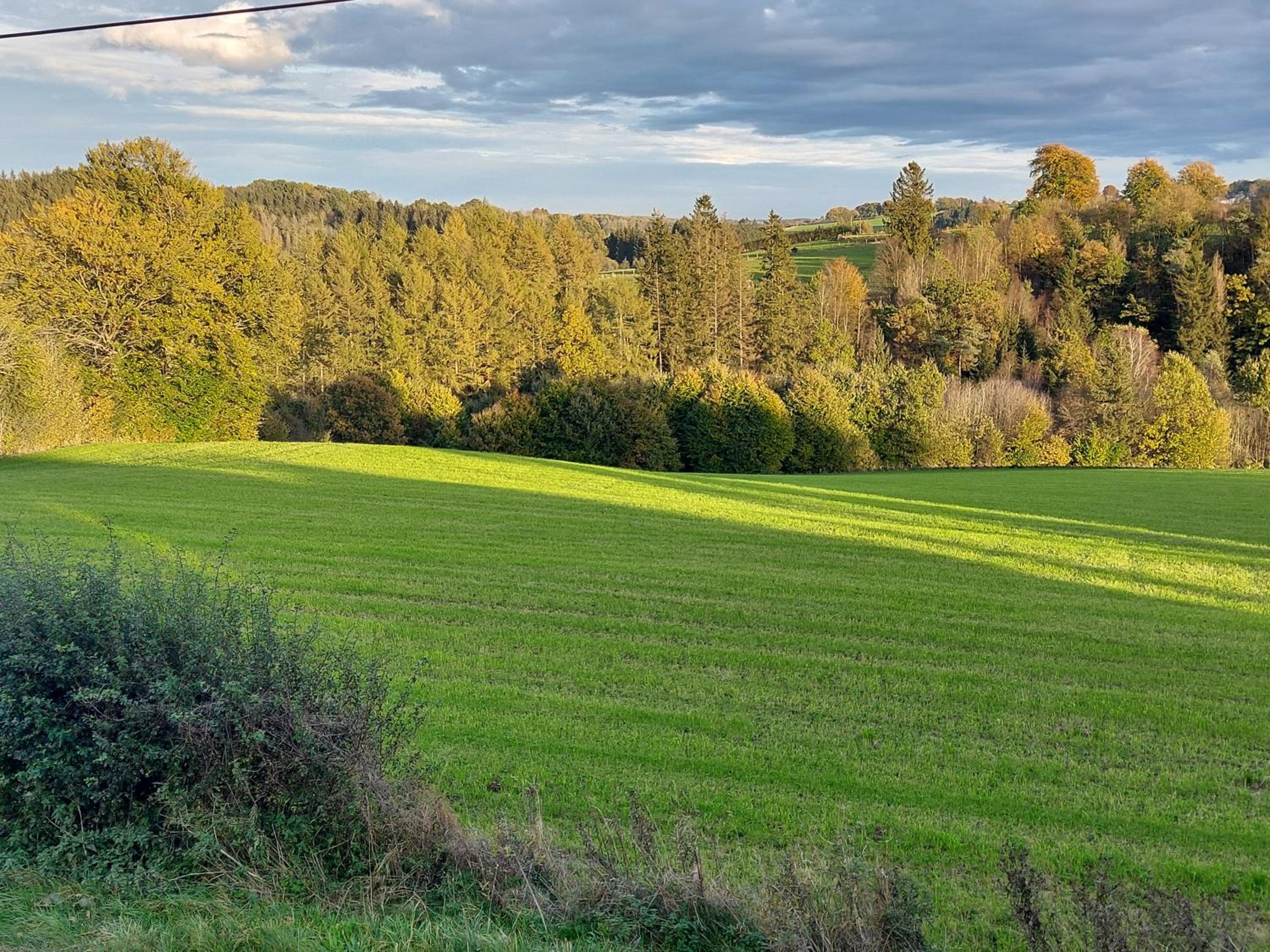 Le Son du Silence, gite 8 personnes avec sauna au bord du lac de Robertville et au pied des Hautes Fagnes