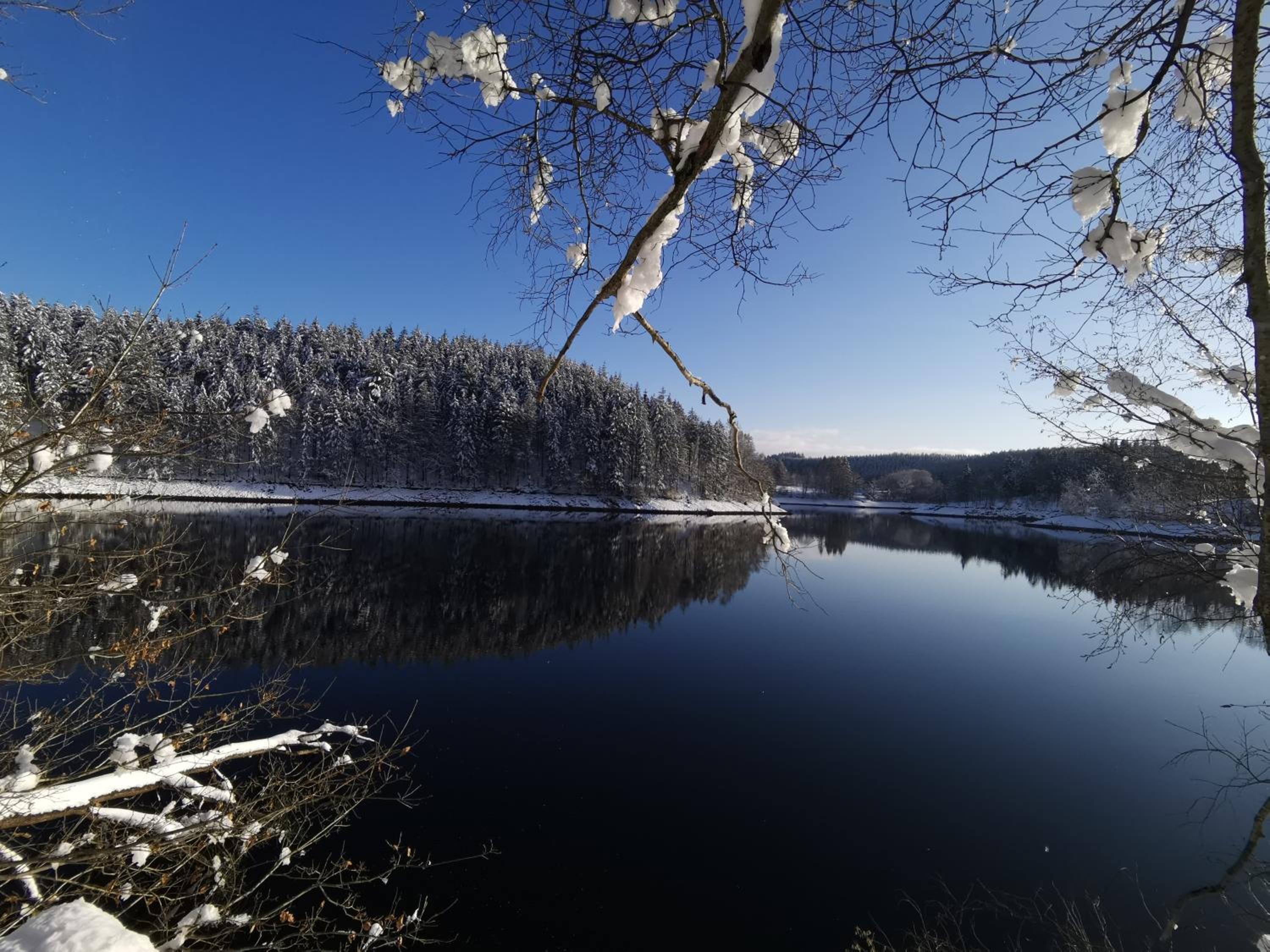 Le Son du Silence, gite 8 personnes avec sauna au bord du lac de Robertville et au pied des Hautes Fagnes