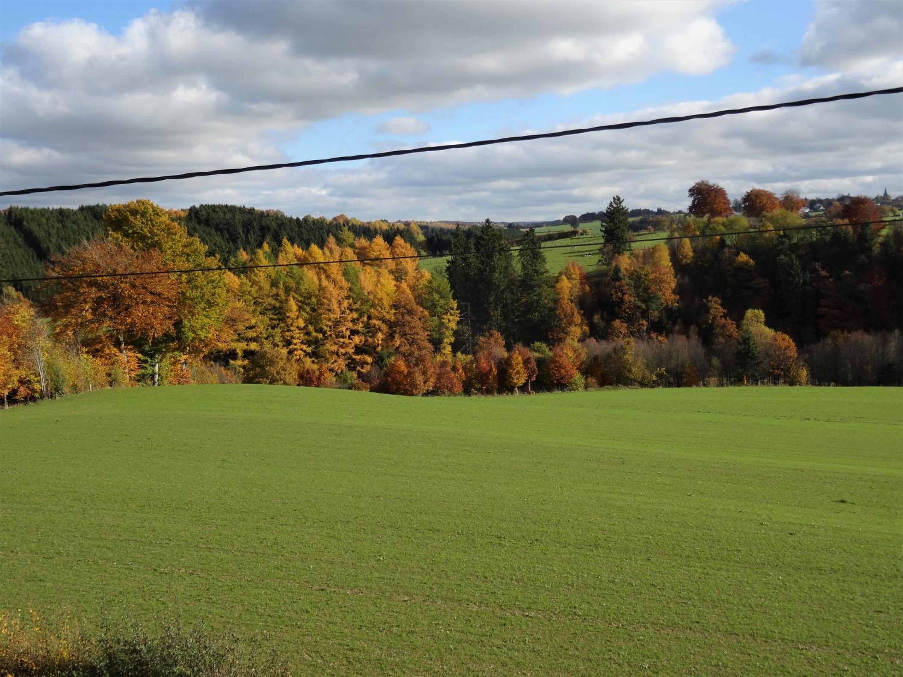 Le Son du Silence, gite 8 personnes avec sauna au bord du lac de Robertville et au pied des Hautes Fagnes