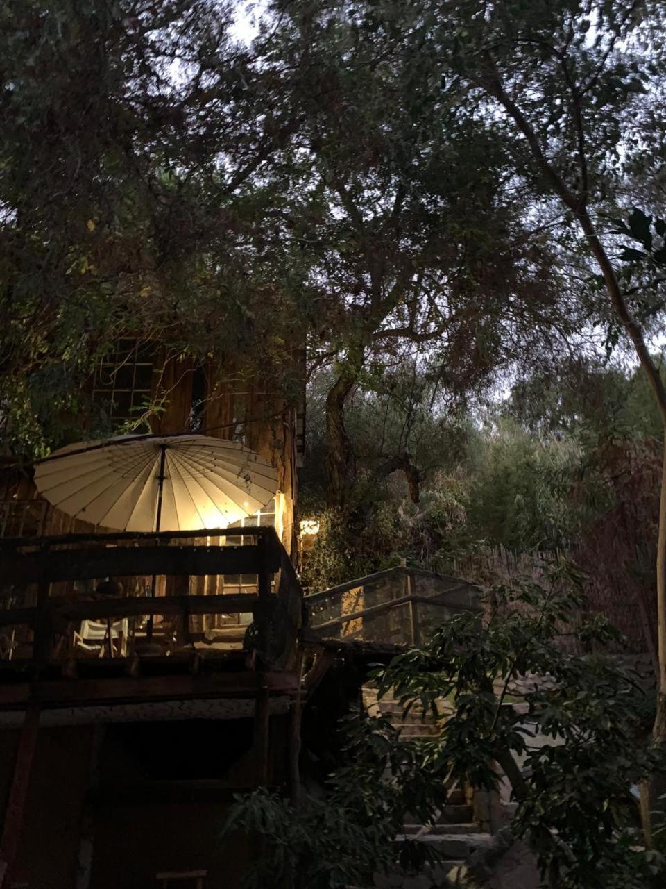 La Casa entre los Árboles en el Valle de Elqui Montegrande