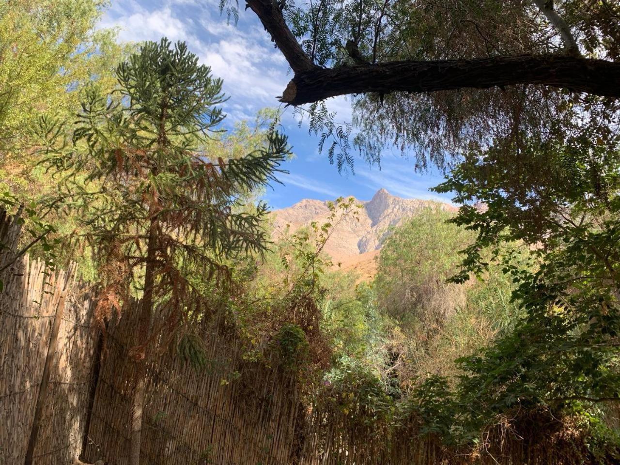 La Casa entre los Árboles en el Valle de Elqui Montegrande