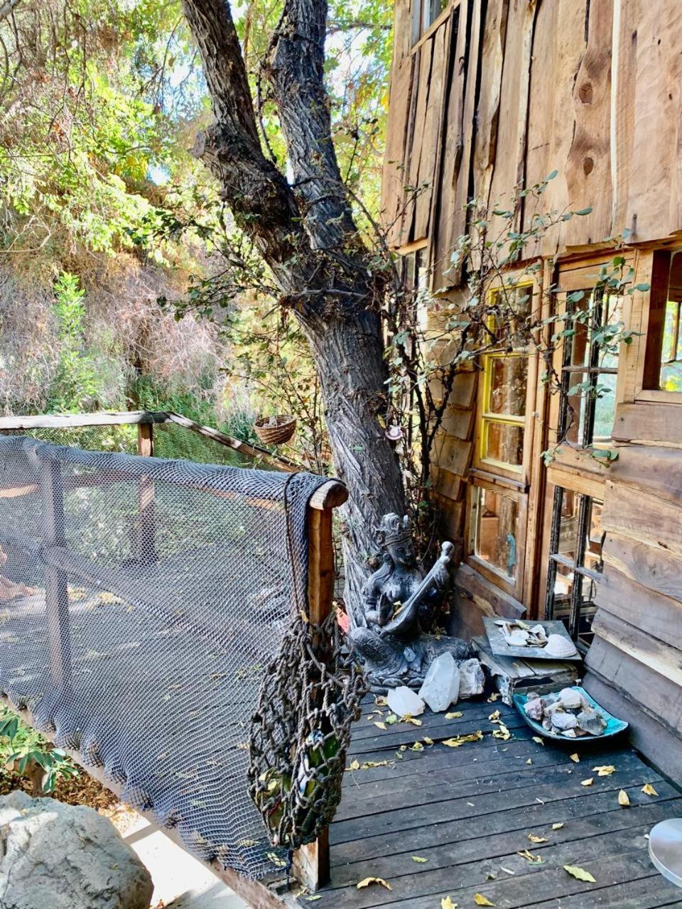 La Casa entre los Árboles en el Valle de Elqui Montegrande