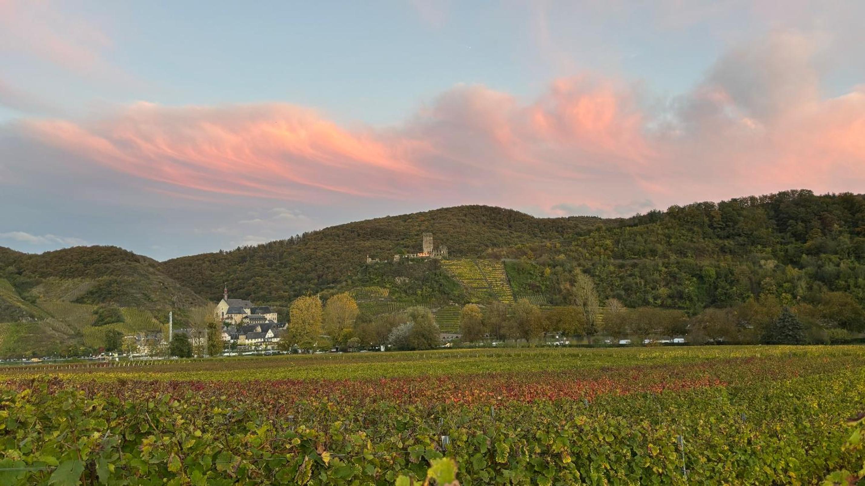 Haus im Weinberg