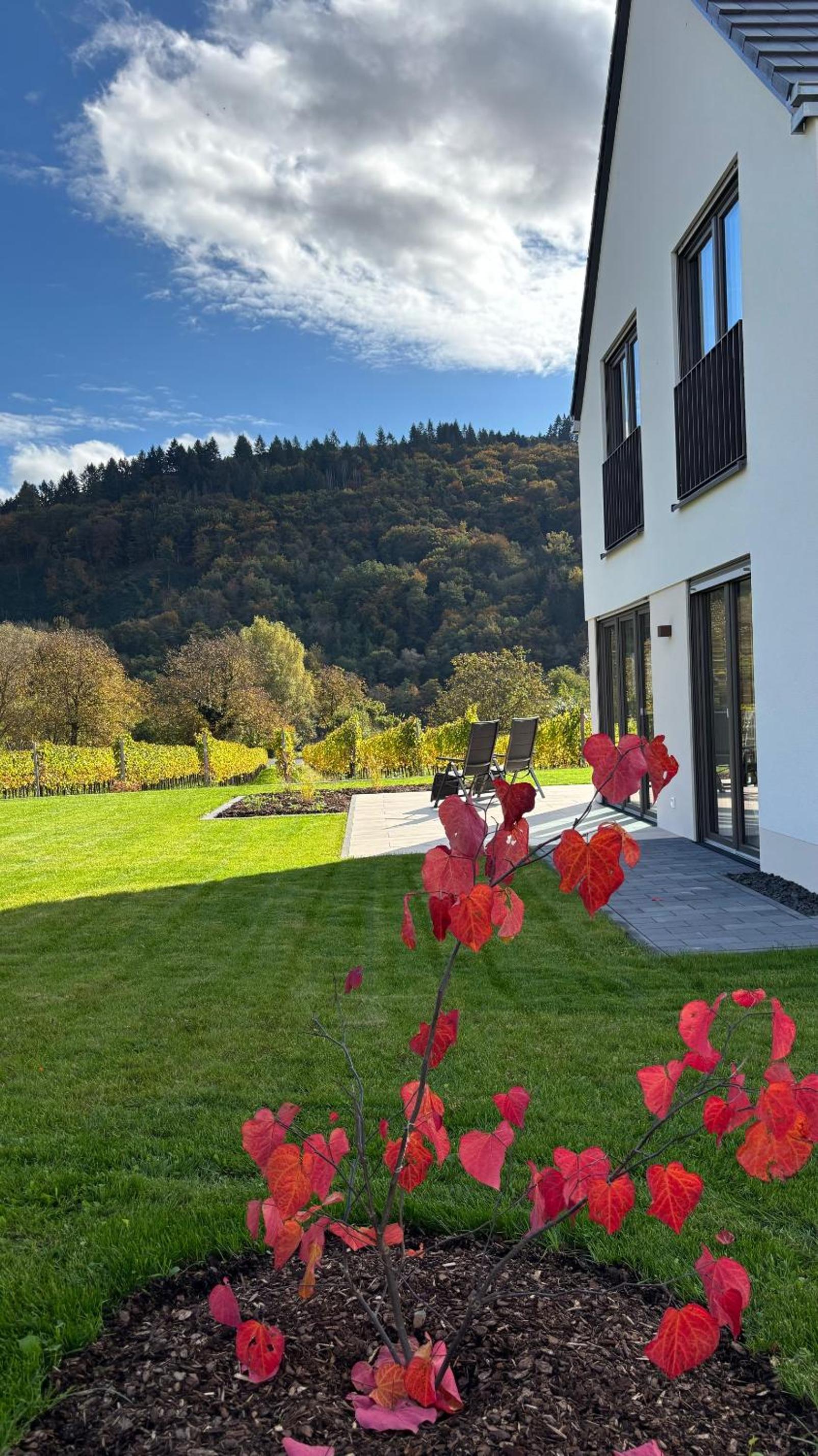 Haus im Weinberg