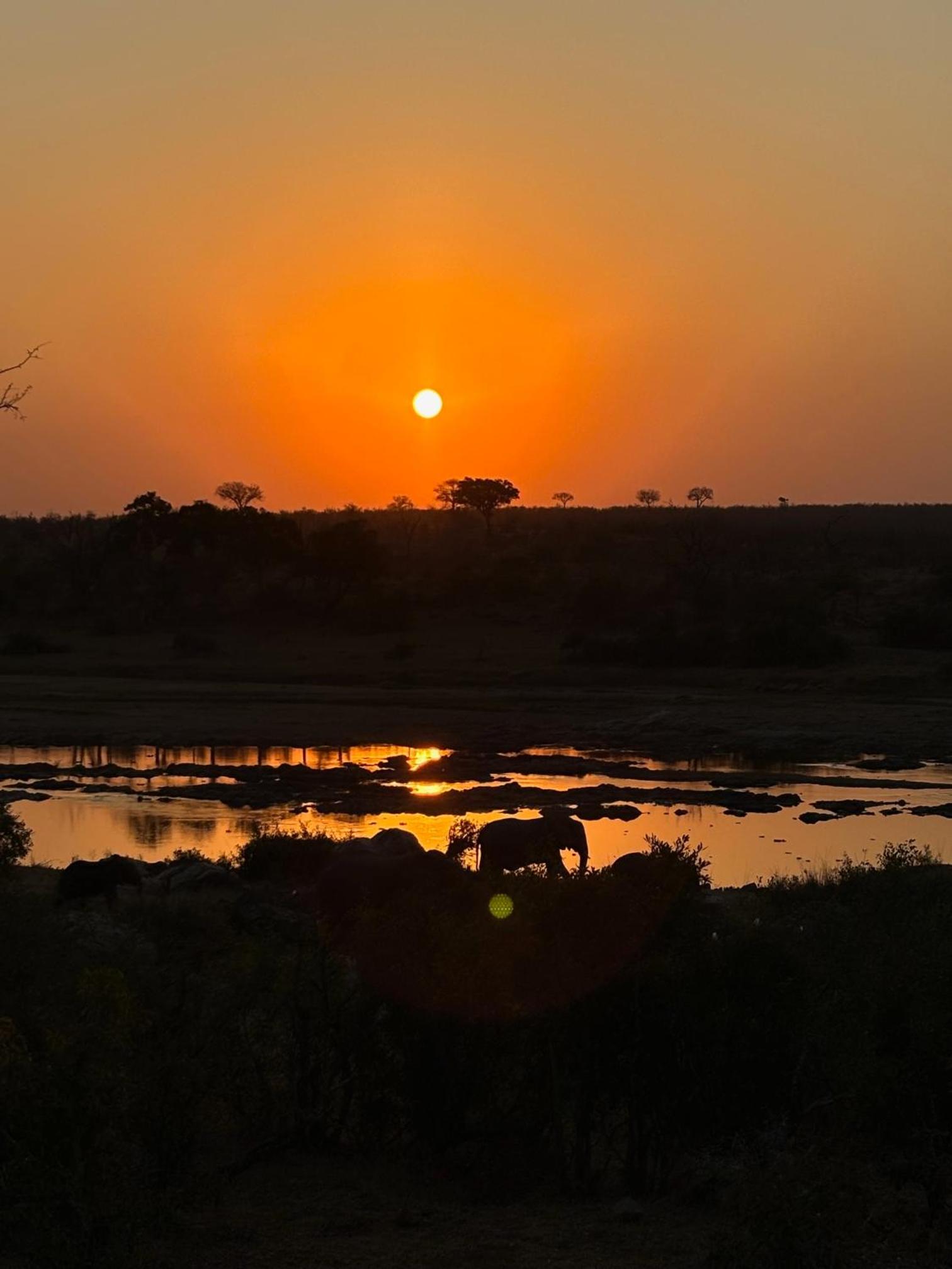 MANZINI RIVER HOUSE - Mjejane Private Game Reserve, Greater Kruger National Park view 3