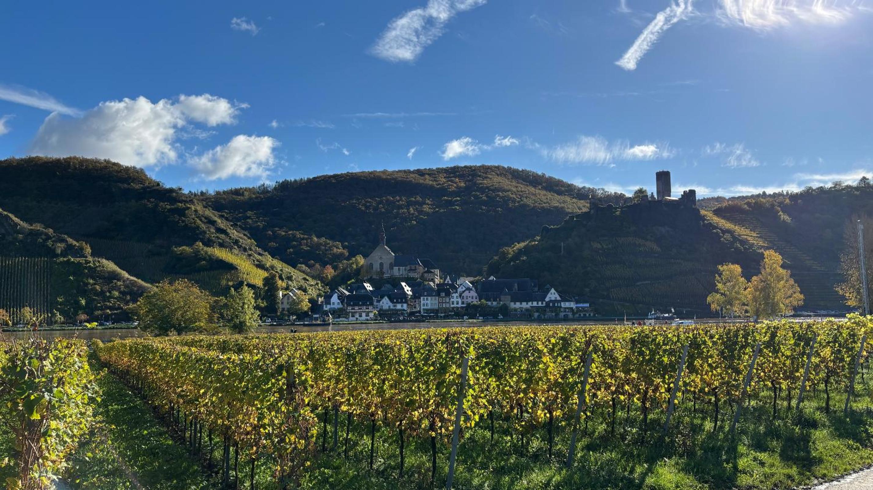 Haus im Weinberg