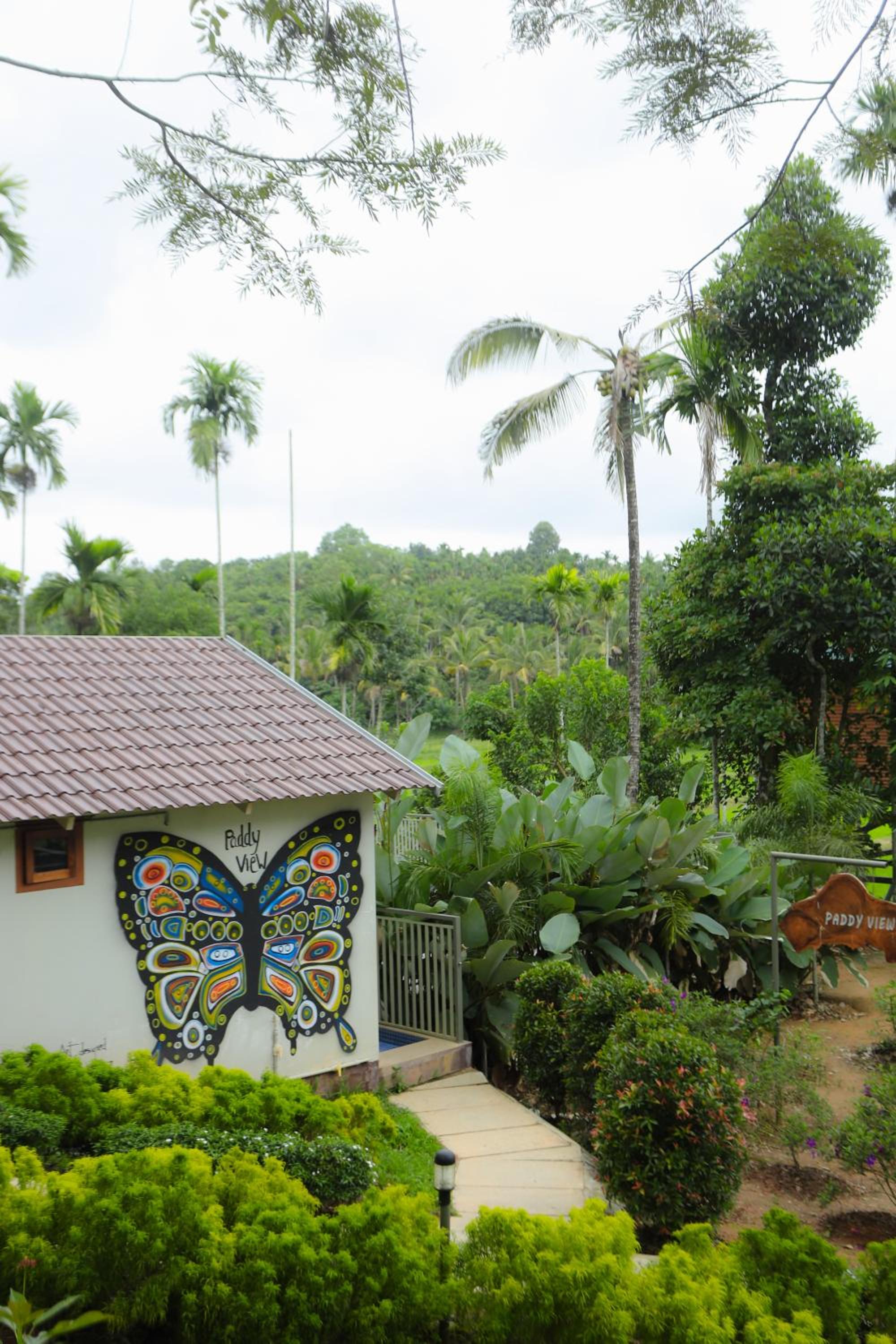 Paddy View Resort Wayanad view 4