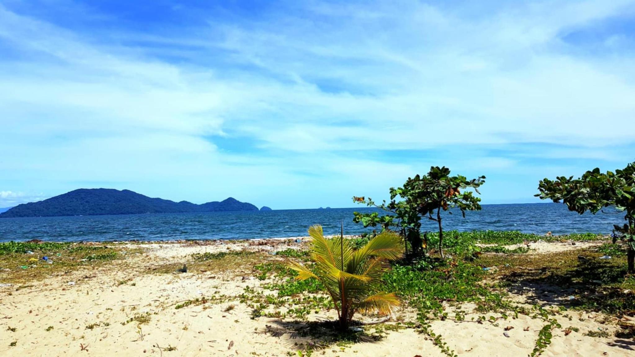 Le tournesol Belle villa view 5