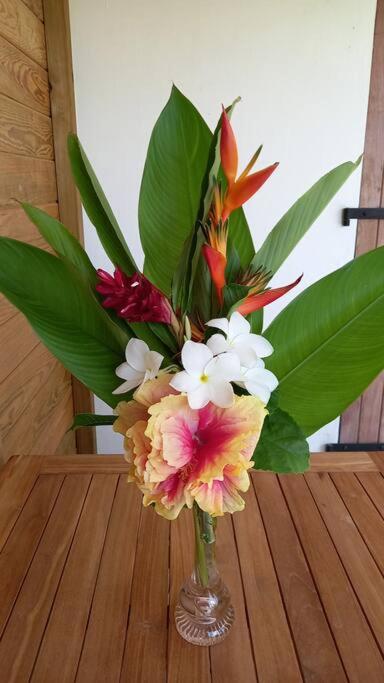 Location privative dans villa