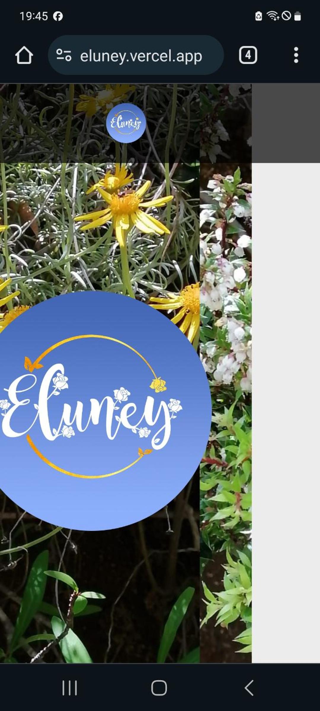 Cafeteria y Cabañas Eluney Lahurel