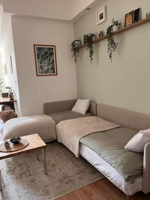 Ilka Suite