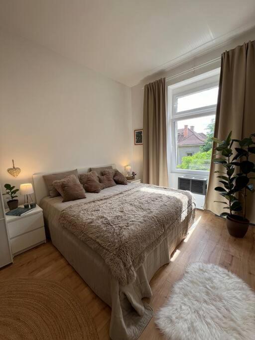 Ilka Suite