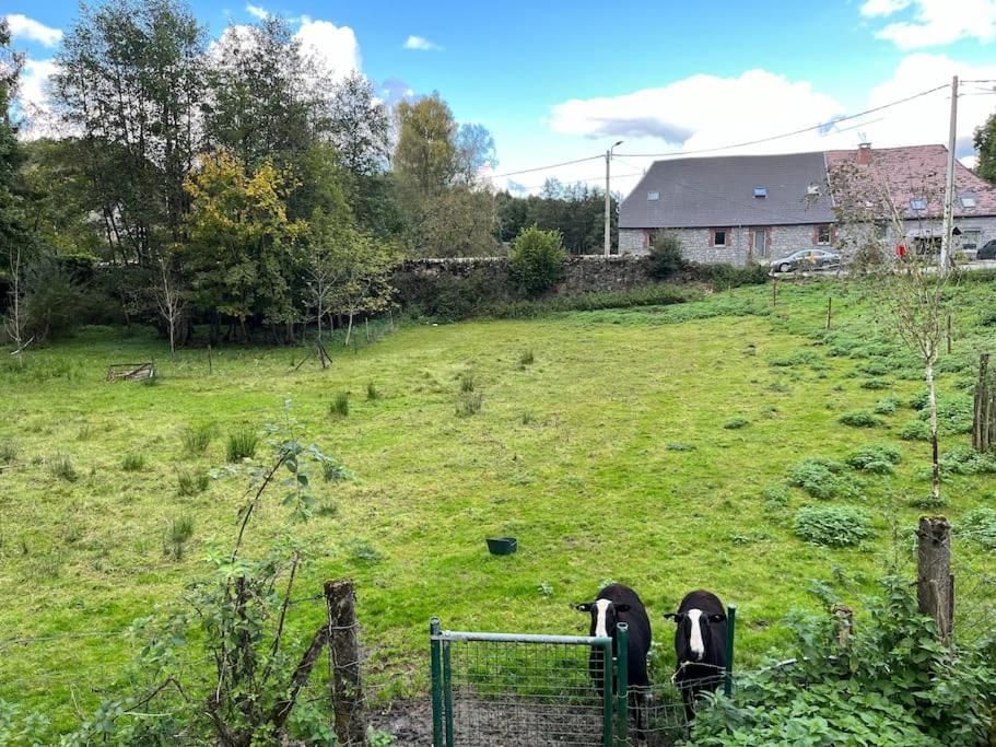 Maison dans un village calme près de Chimay
