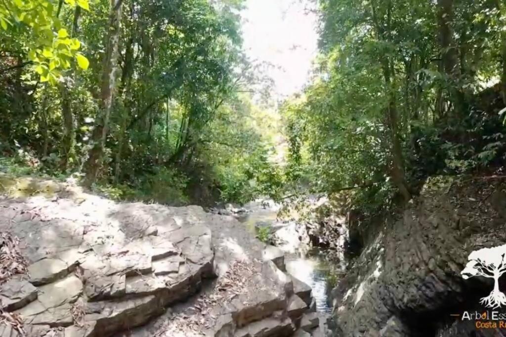 Cabaña el Congo