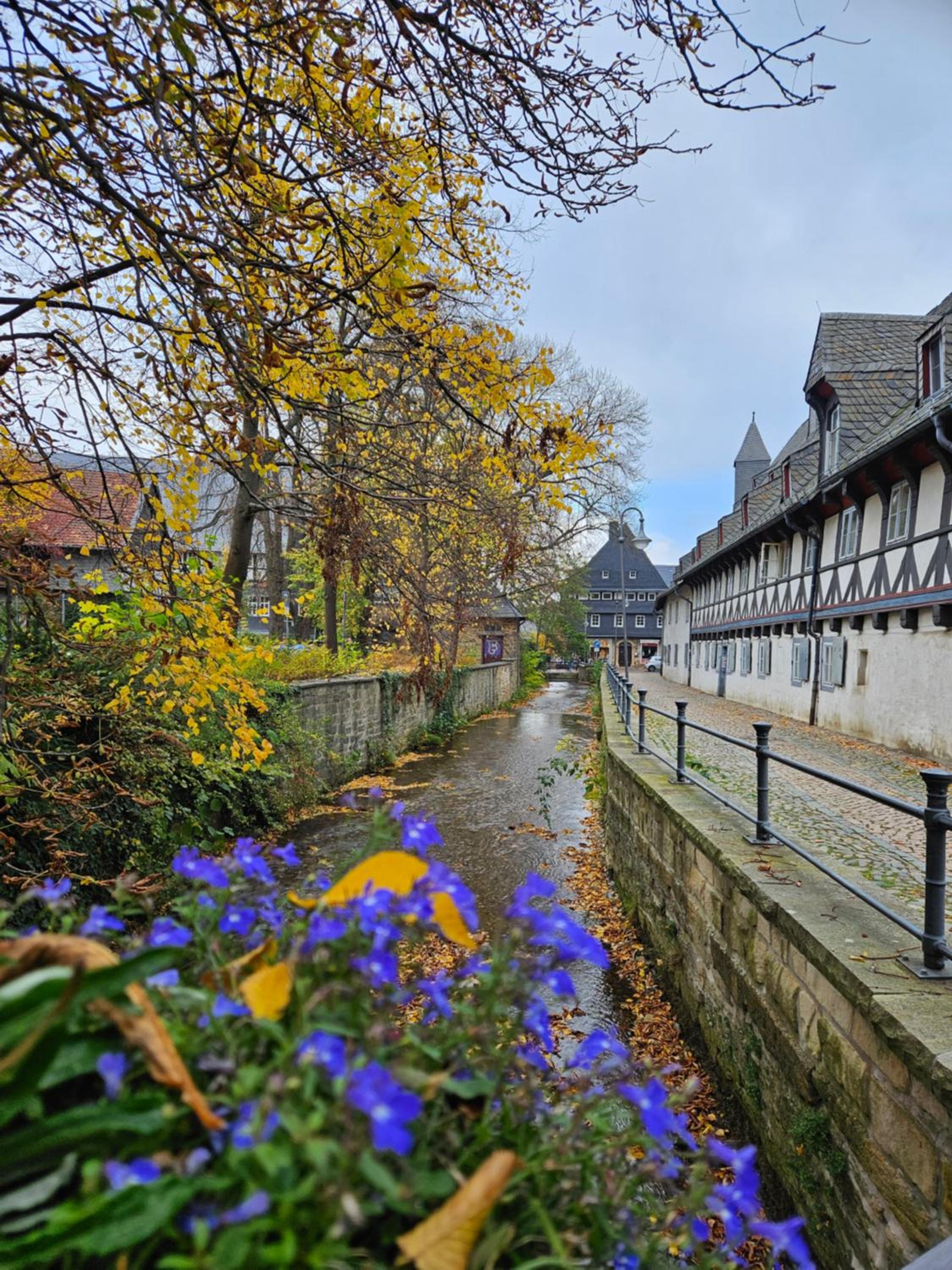 Ferienwohnung in Goslars Altstadt im Historischen Ritter Ramm I Stylistisch mit Parkmöglichkeiten