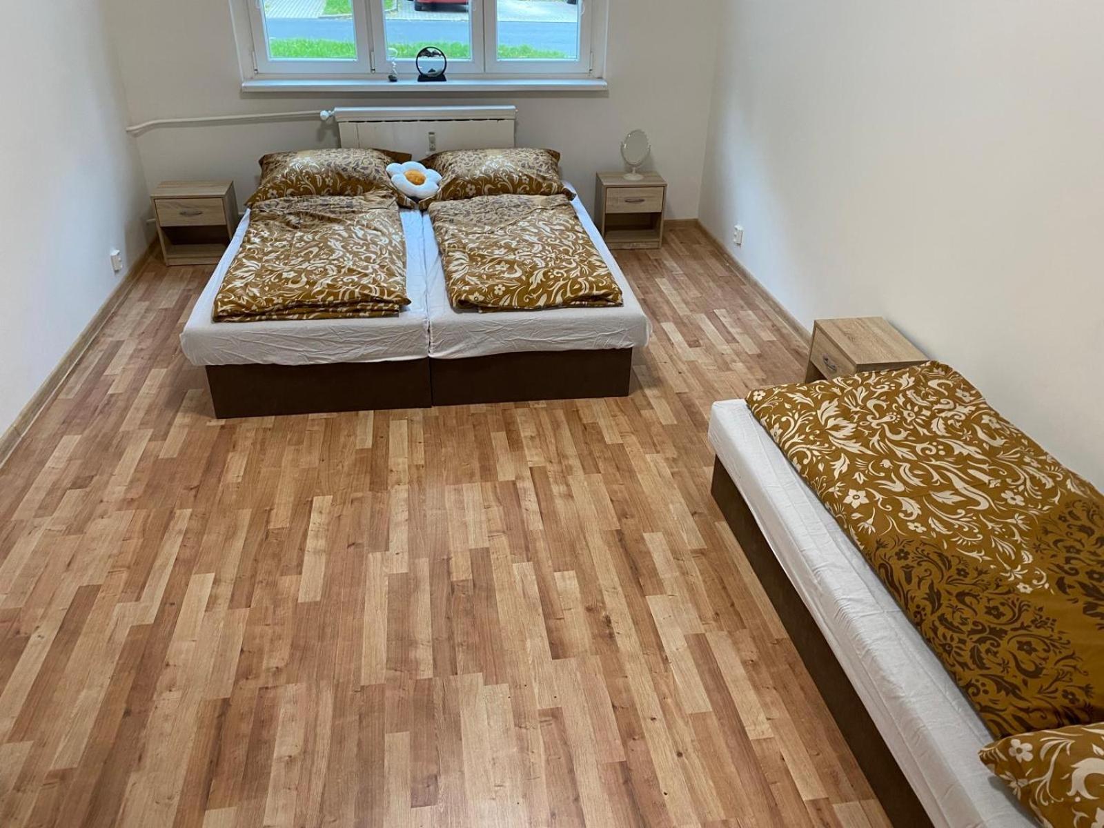 Apartmán ve městě Ostrov pro 3 osoby