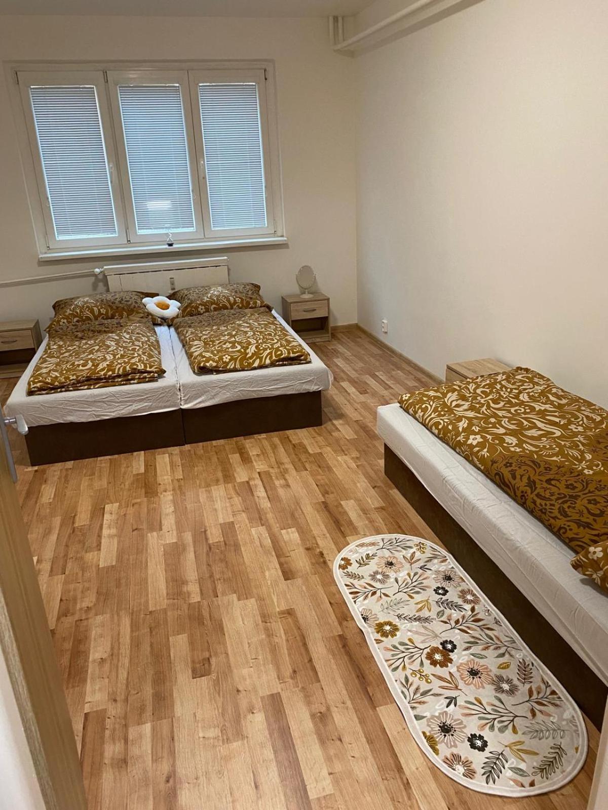 Apartmán ve městě Ostrov pro 3 osoby