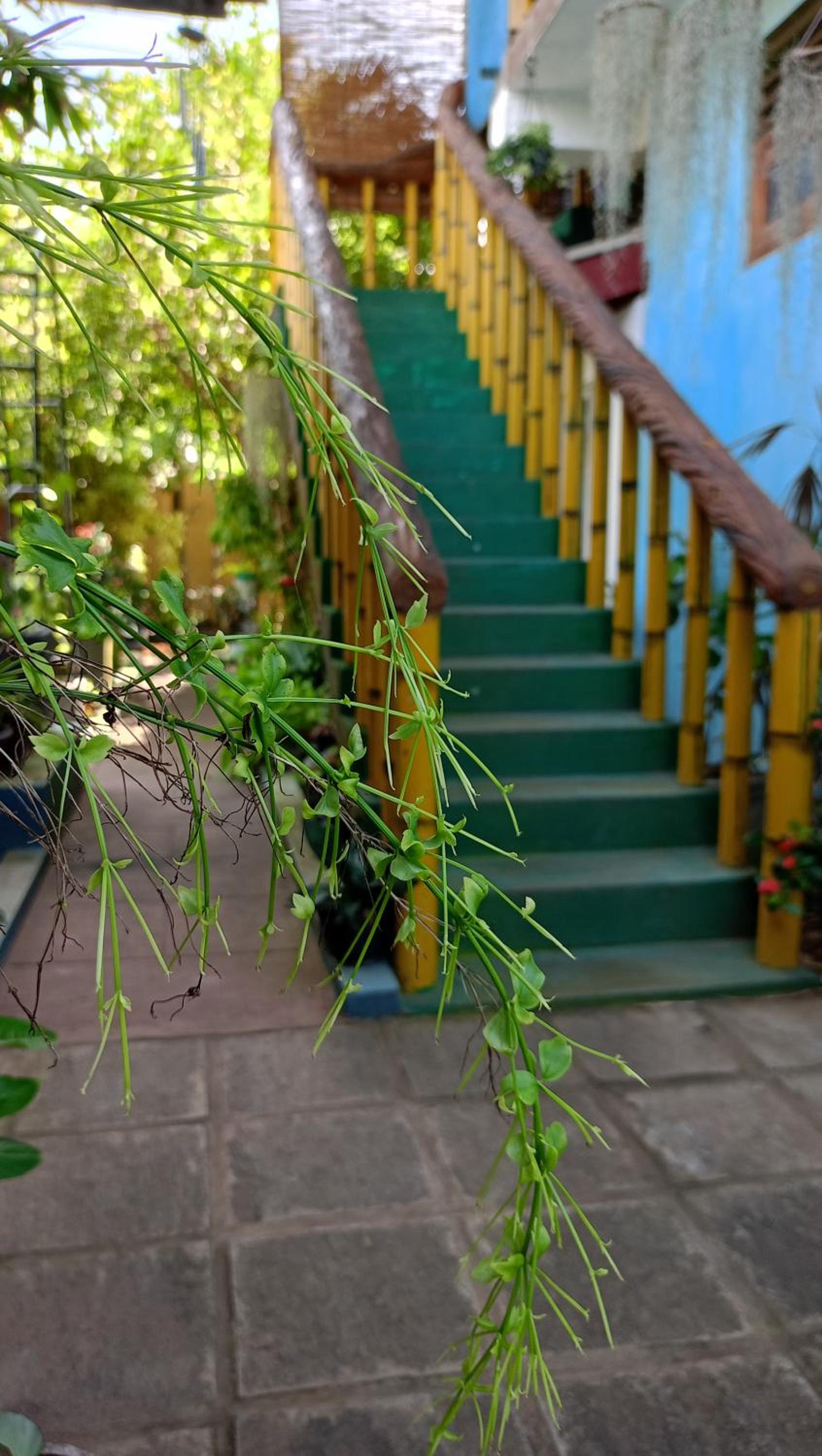 Raj Mahal Inn