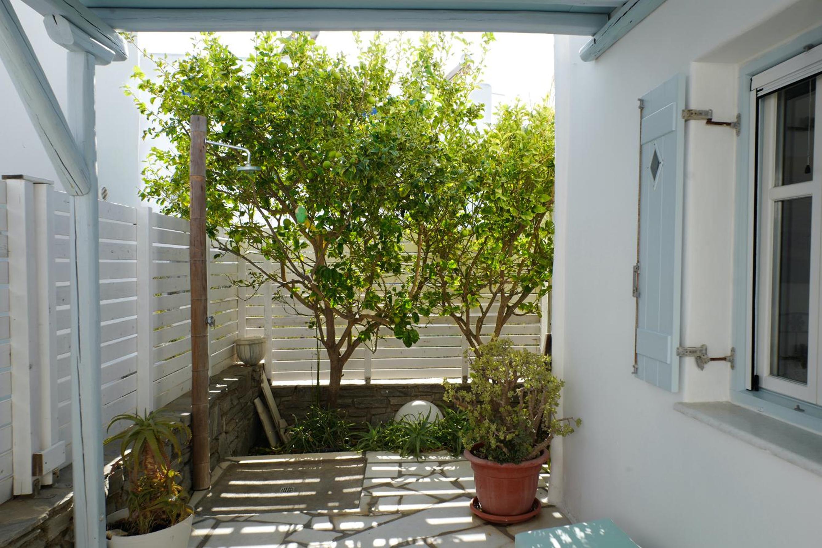casa maia