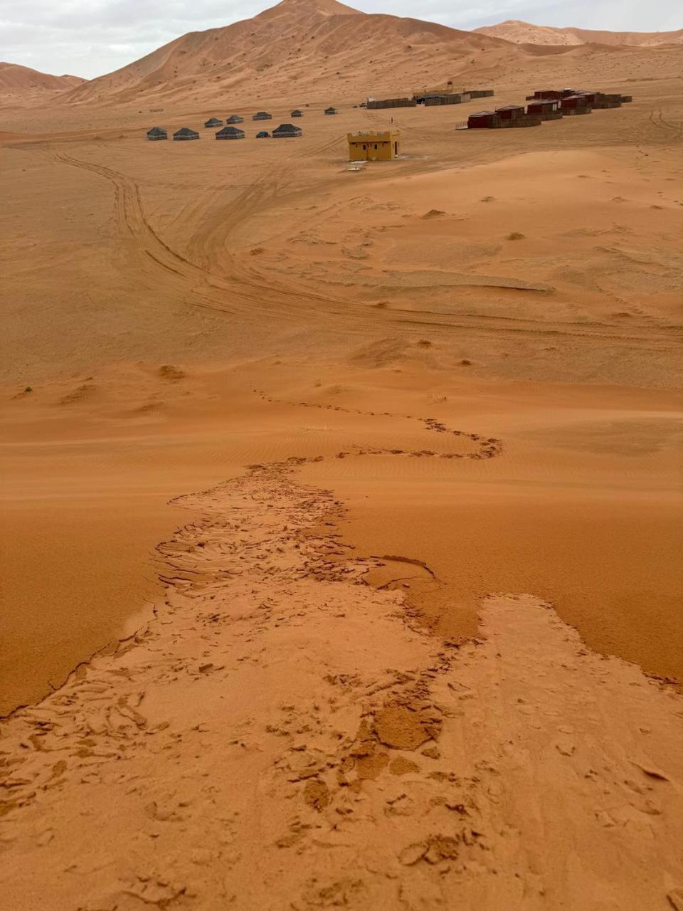 AArabian Sand Camp Empty Quater Salalah Oman