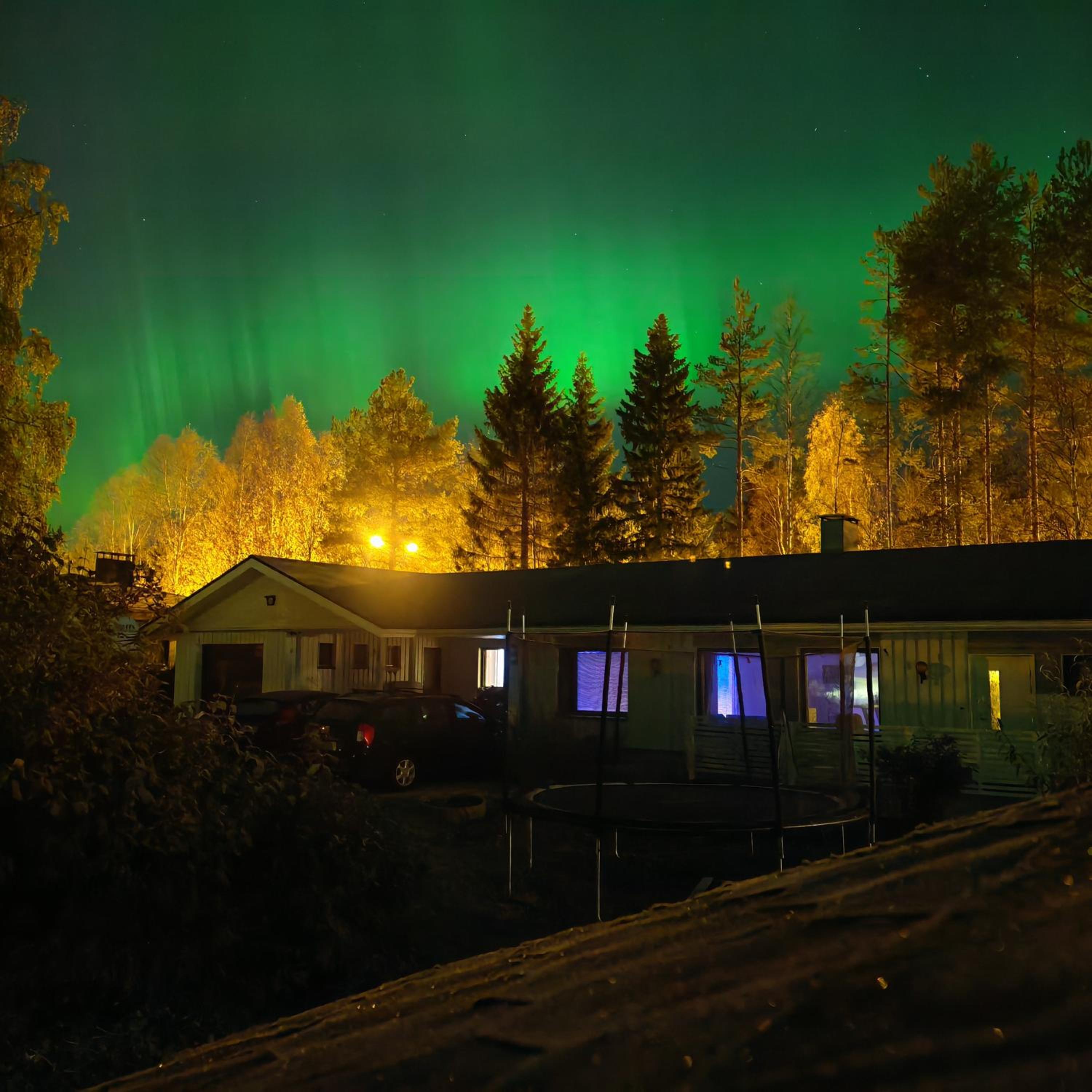 Cozy Arctic Circle Family House