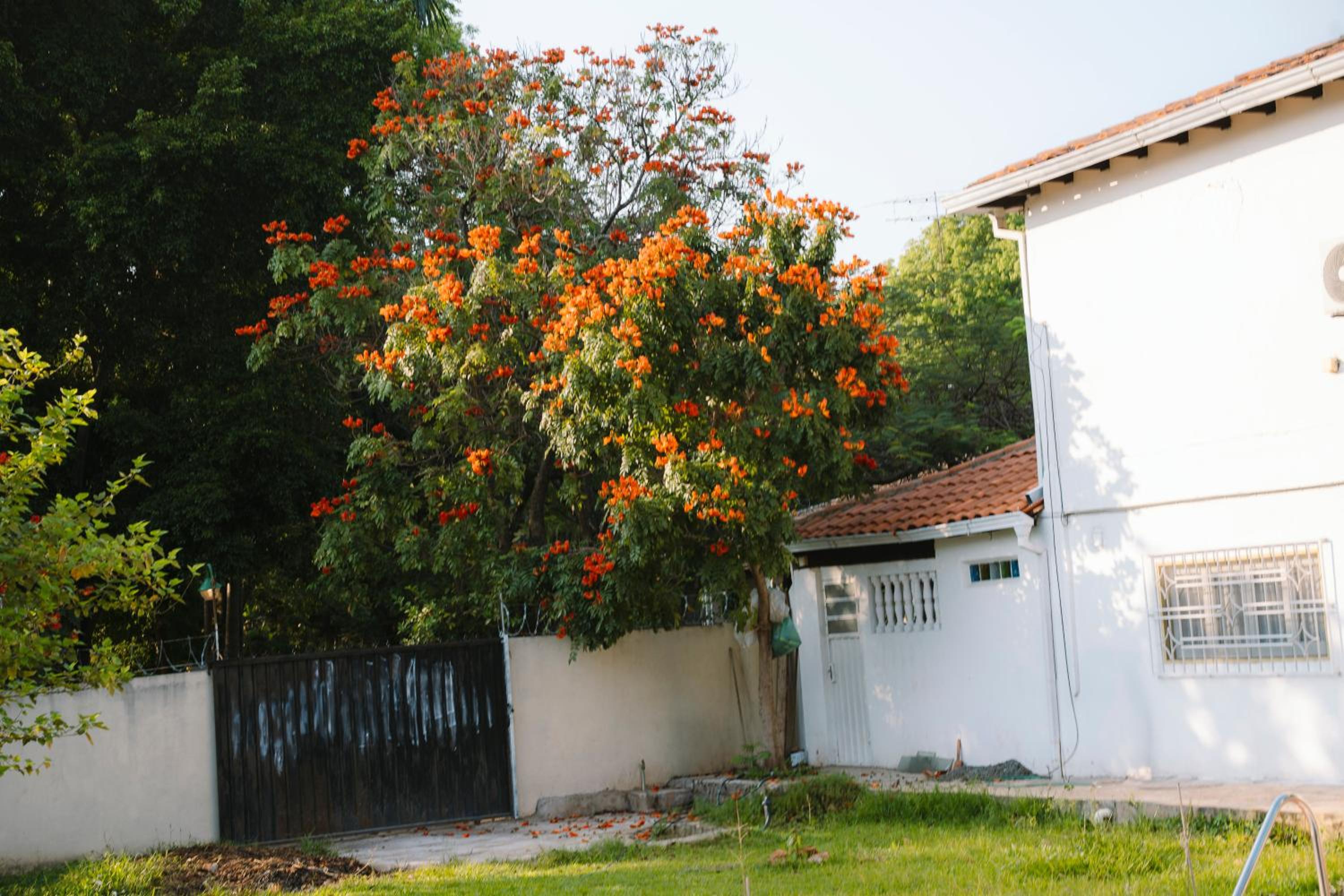 Photo 42