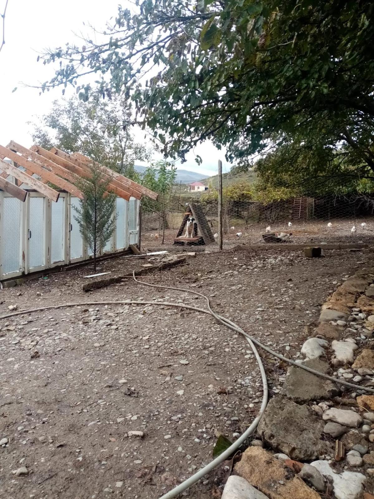 Lətif Bağ Evi