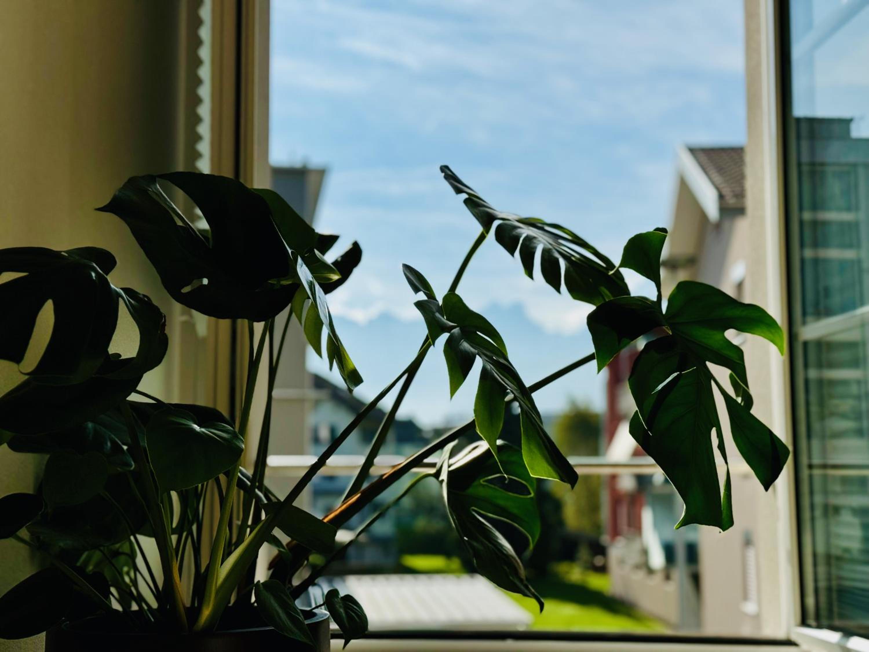 Lilly o Wellness o Hideaway