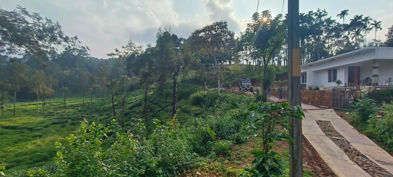 Raga Nature view 5