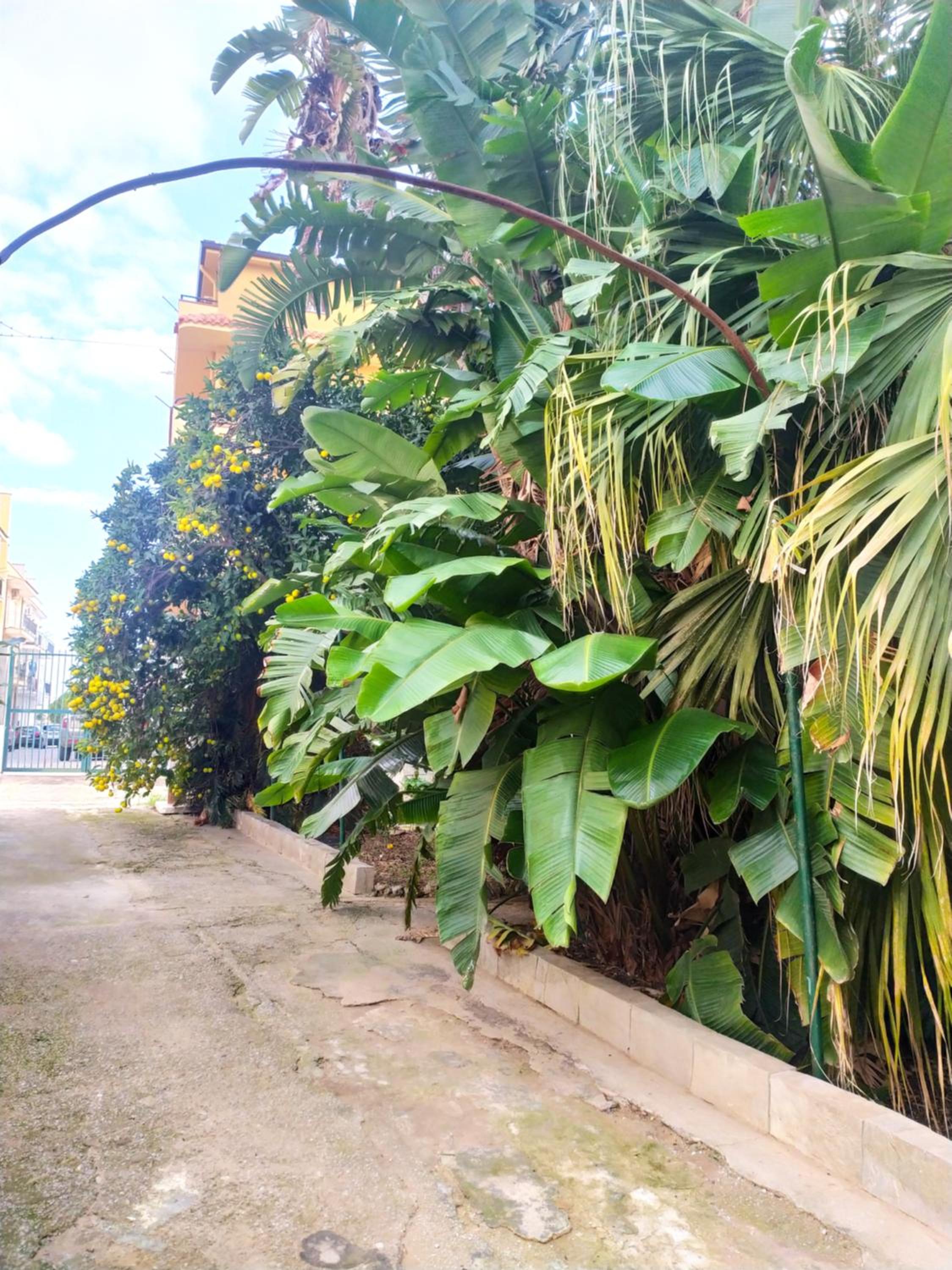 La Rugiada-con giardino e parcheggio moto privato