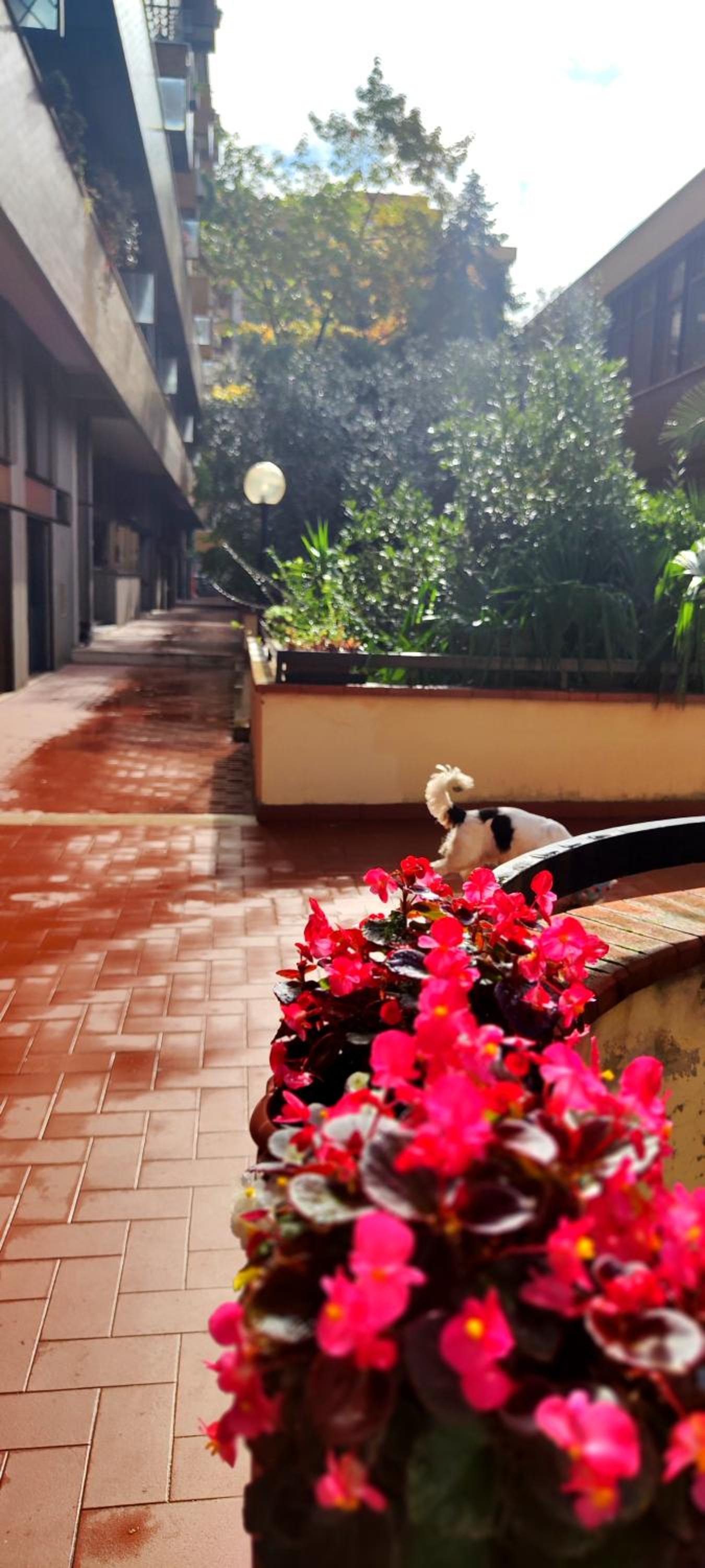 Gemme Fiorentine Apartments in front of the train station 5 minutes from the centre Free parking