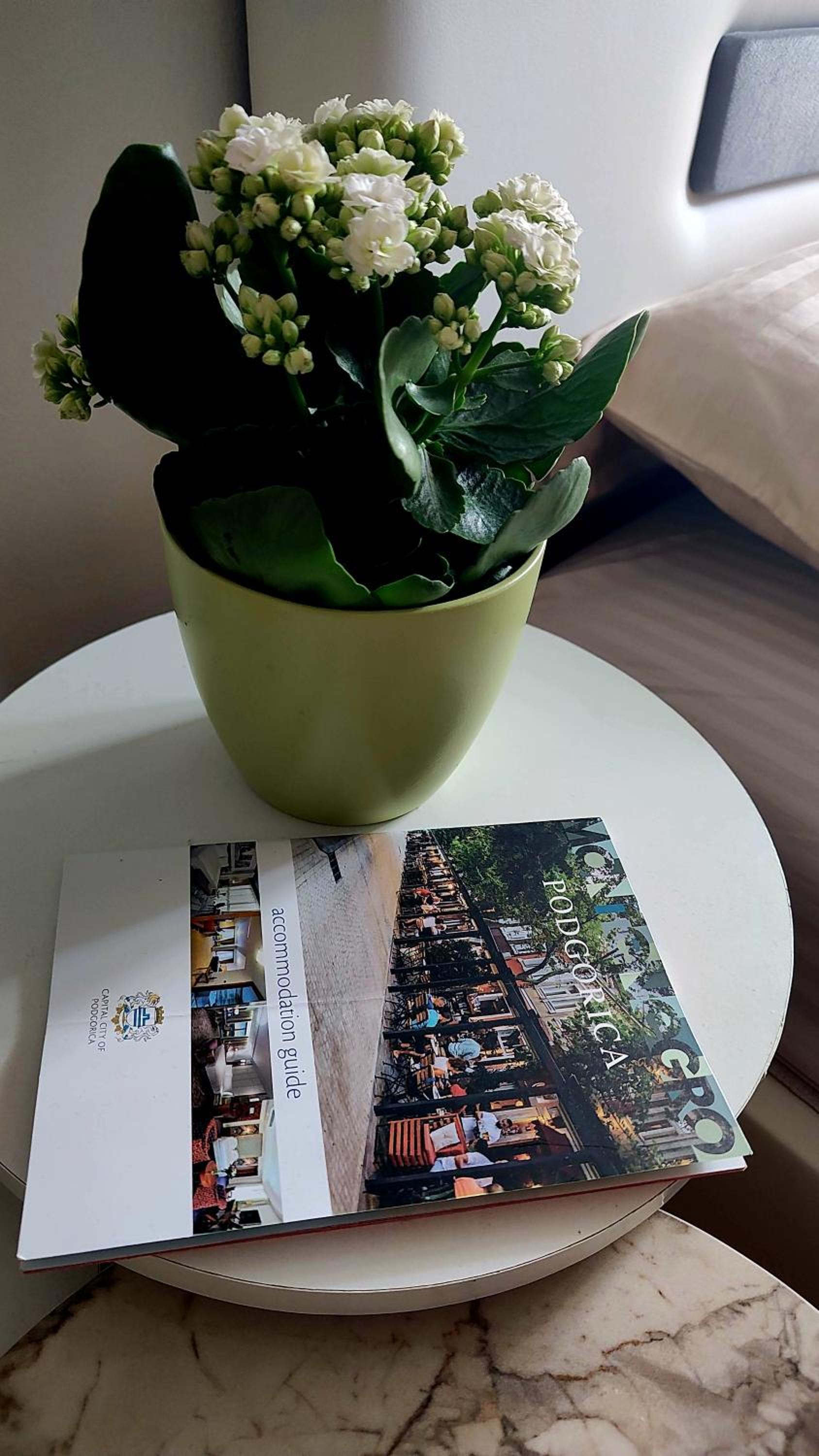 Apartment Centar
