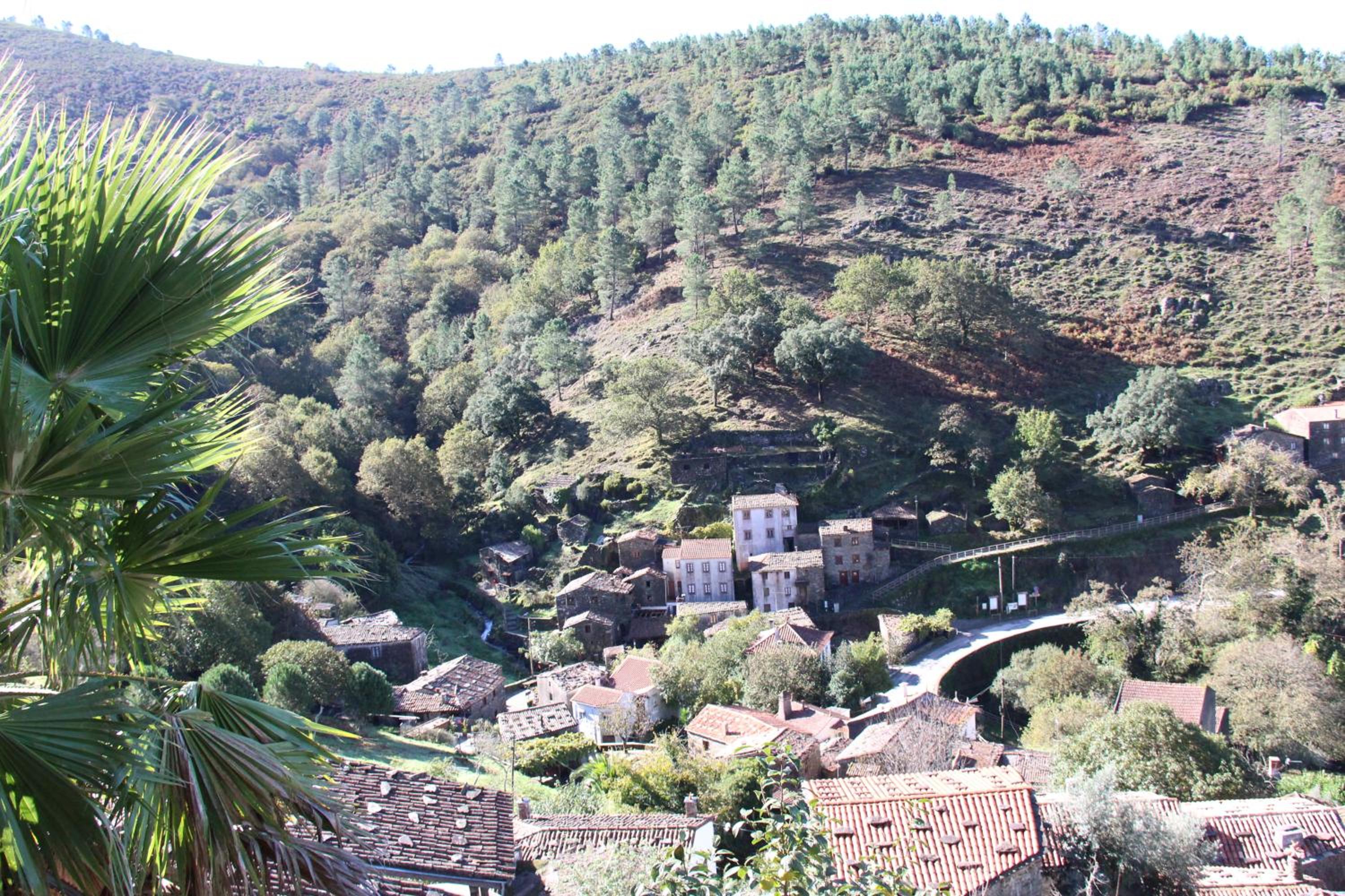 Casa dos Desenhos view 5