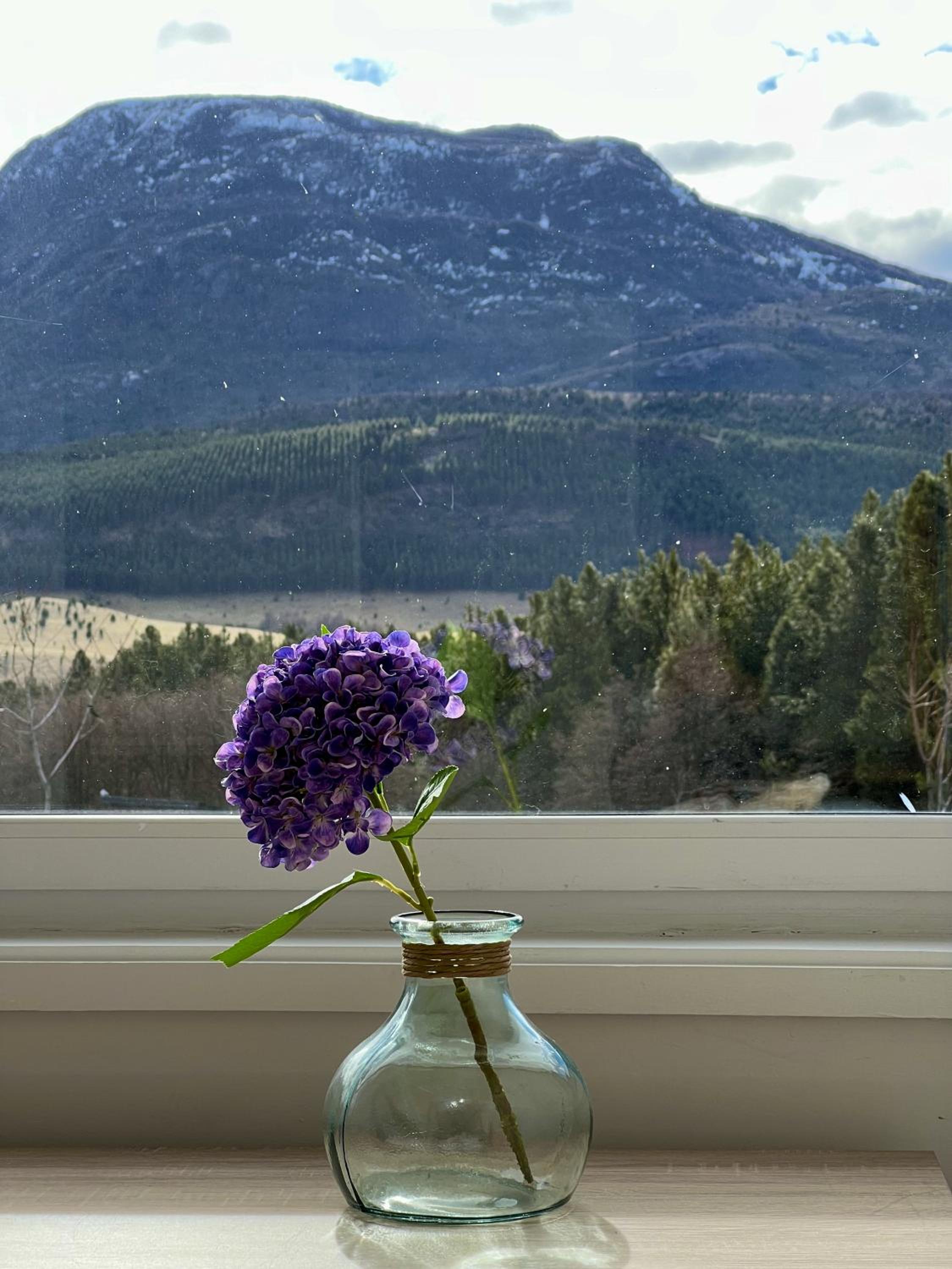 Patagonia Nocturna - Diseño, Vistas y Fast Wifi