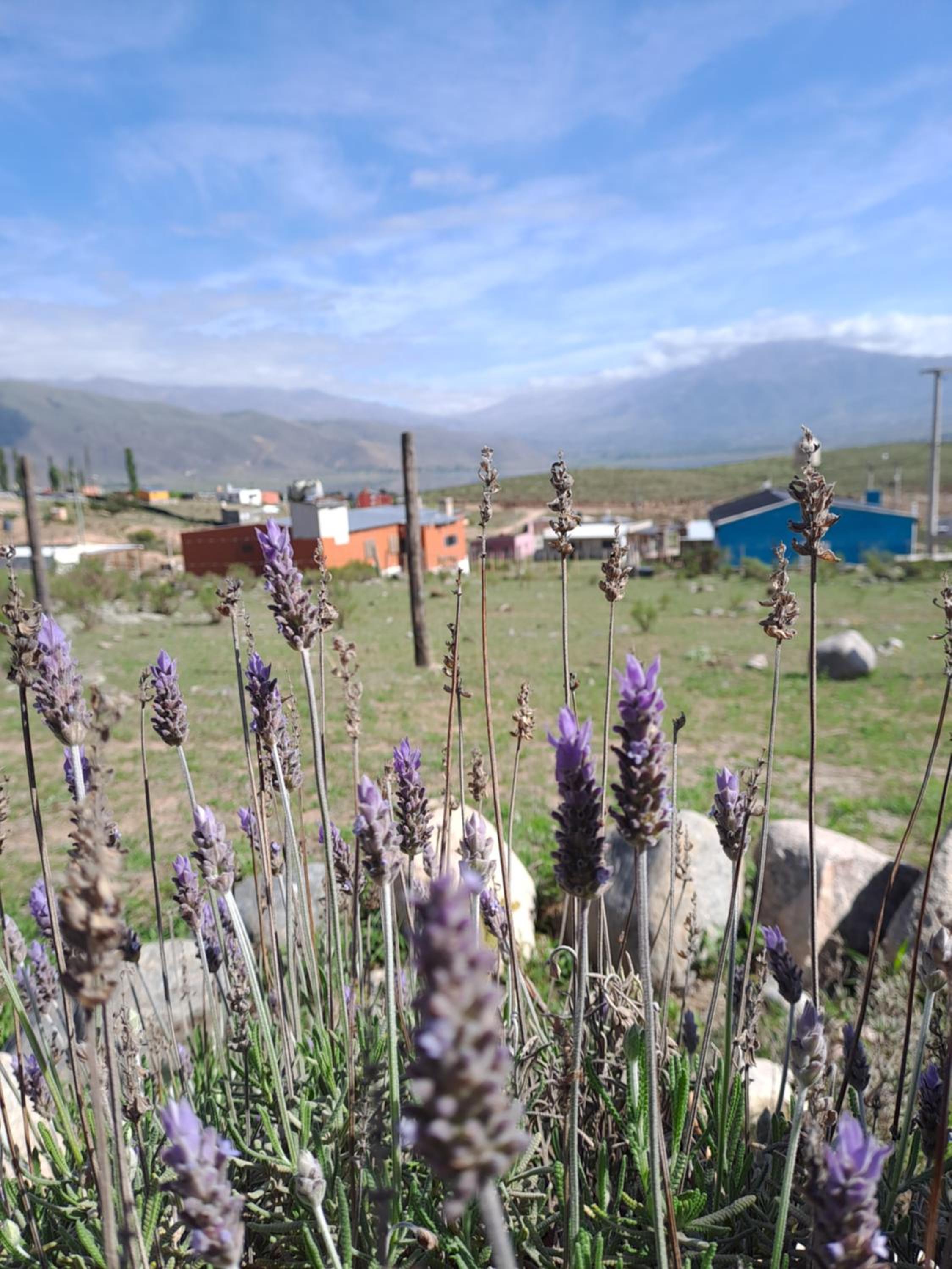 Cabaña Ñuñorco