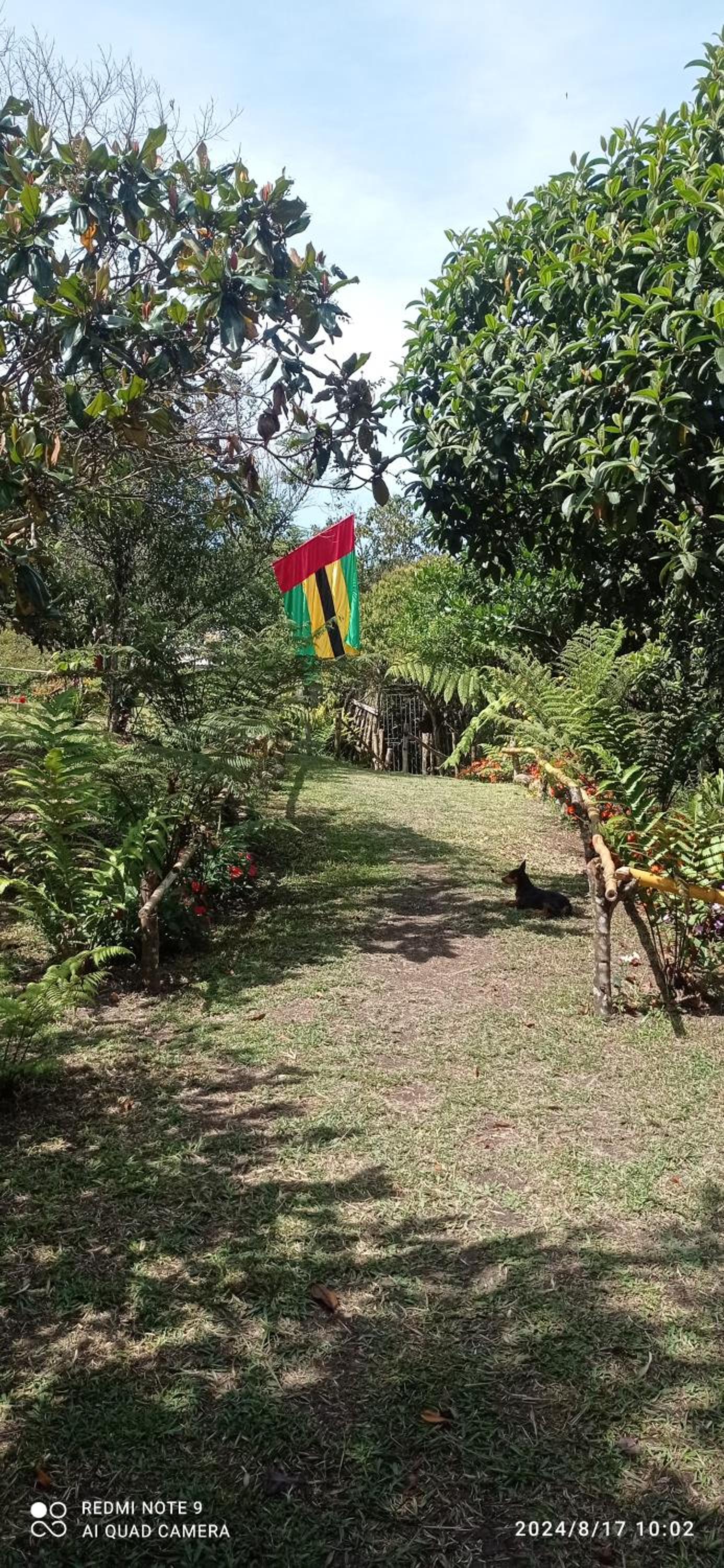 mirador el paraíso