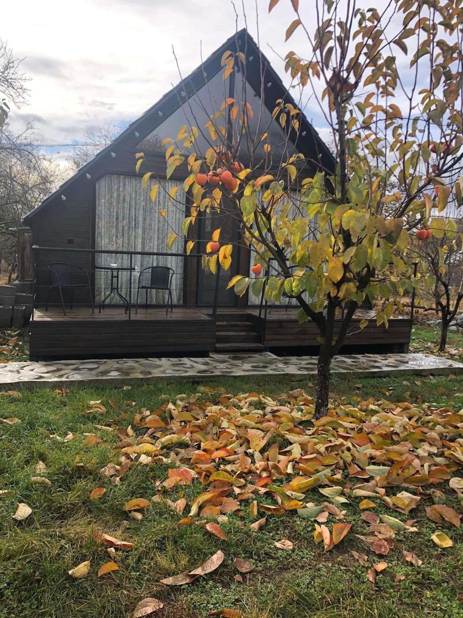 WOOD HOUSE LAGODEKHI