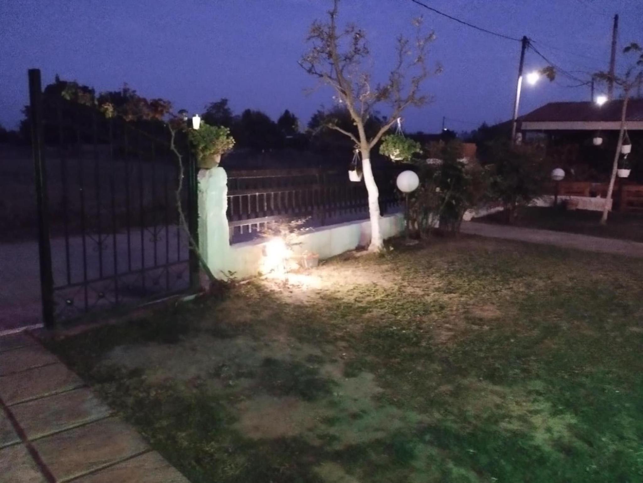 Photo 46