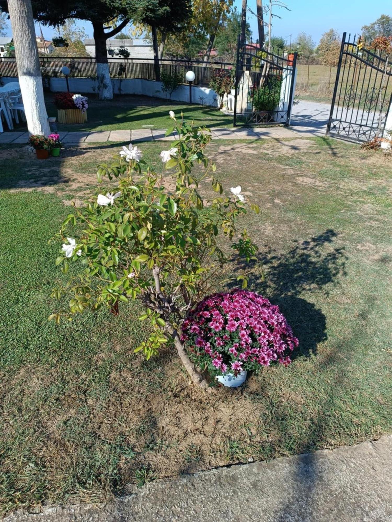Photo 52