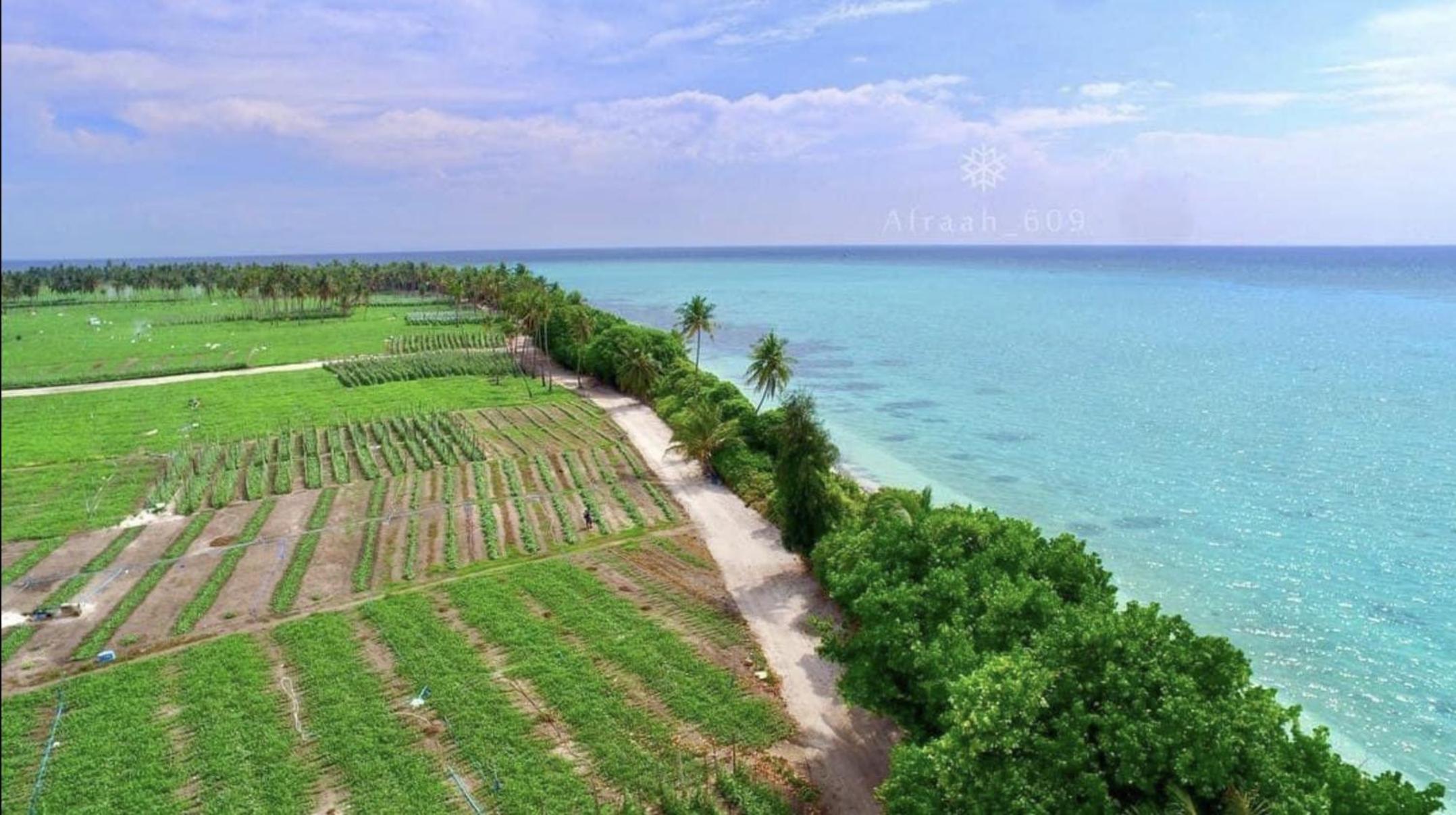 REEF SHINE Thoddoo view 2