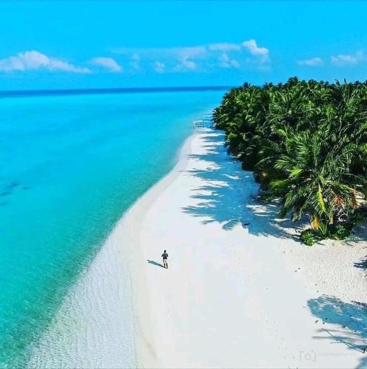 REEF SHINE Thoddoo view 3