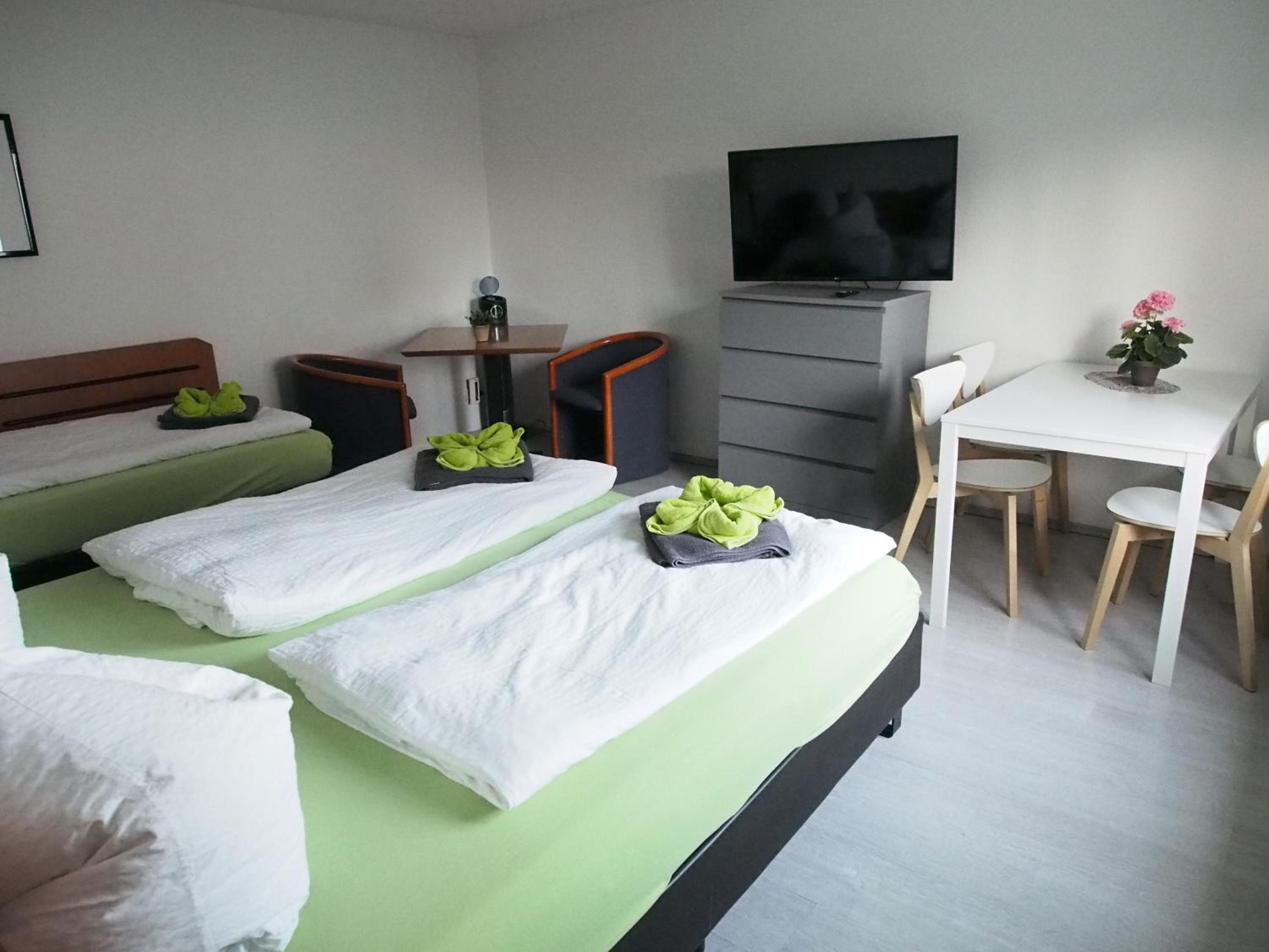 Gemeinschaftsapartment 8 - Ferienwohnung Ottendorf-Okrilla - Property Image 3