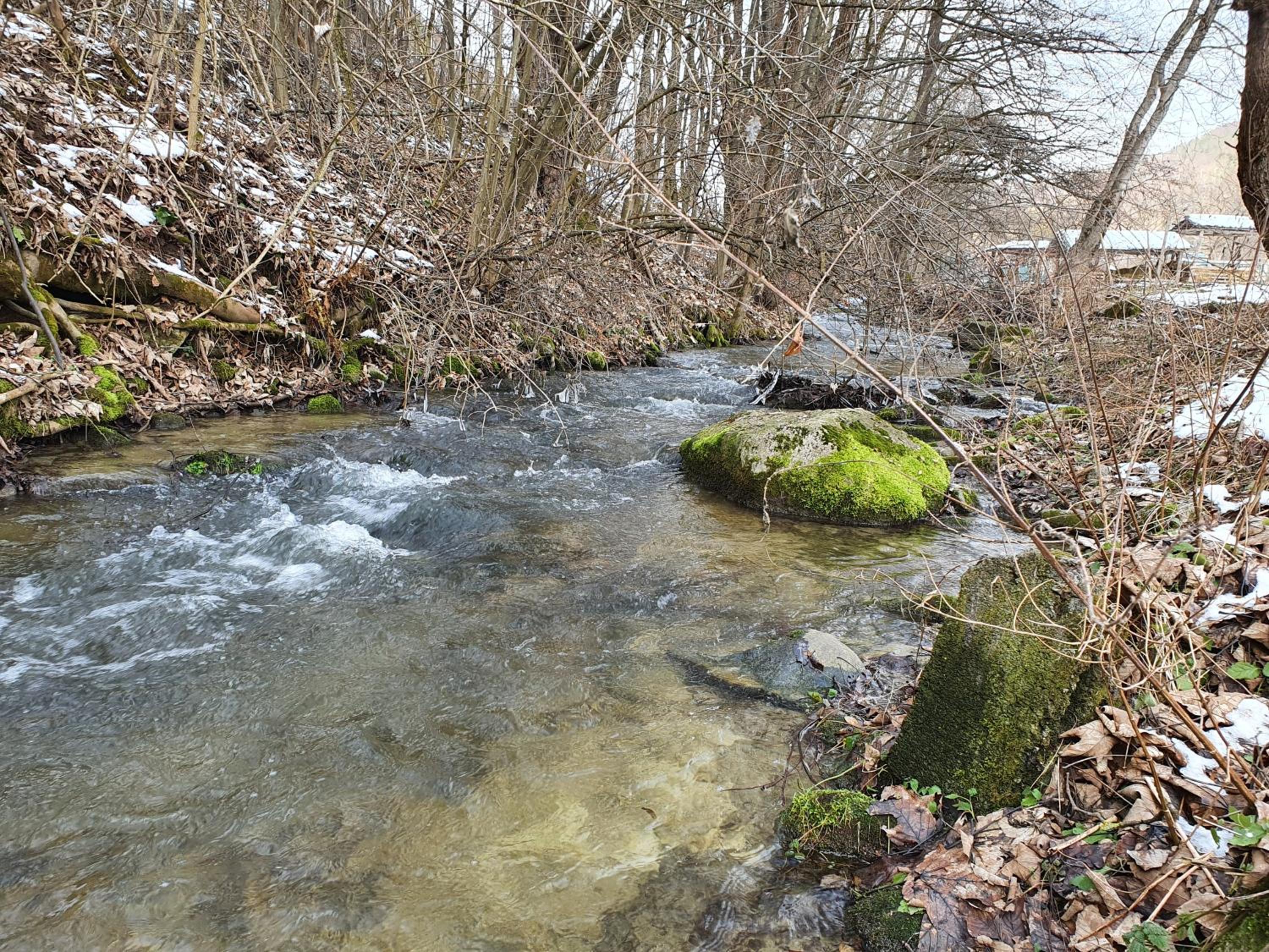 Drevenica Tisovec
