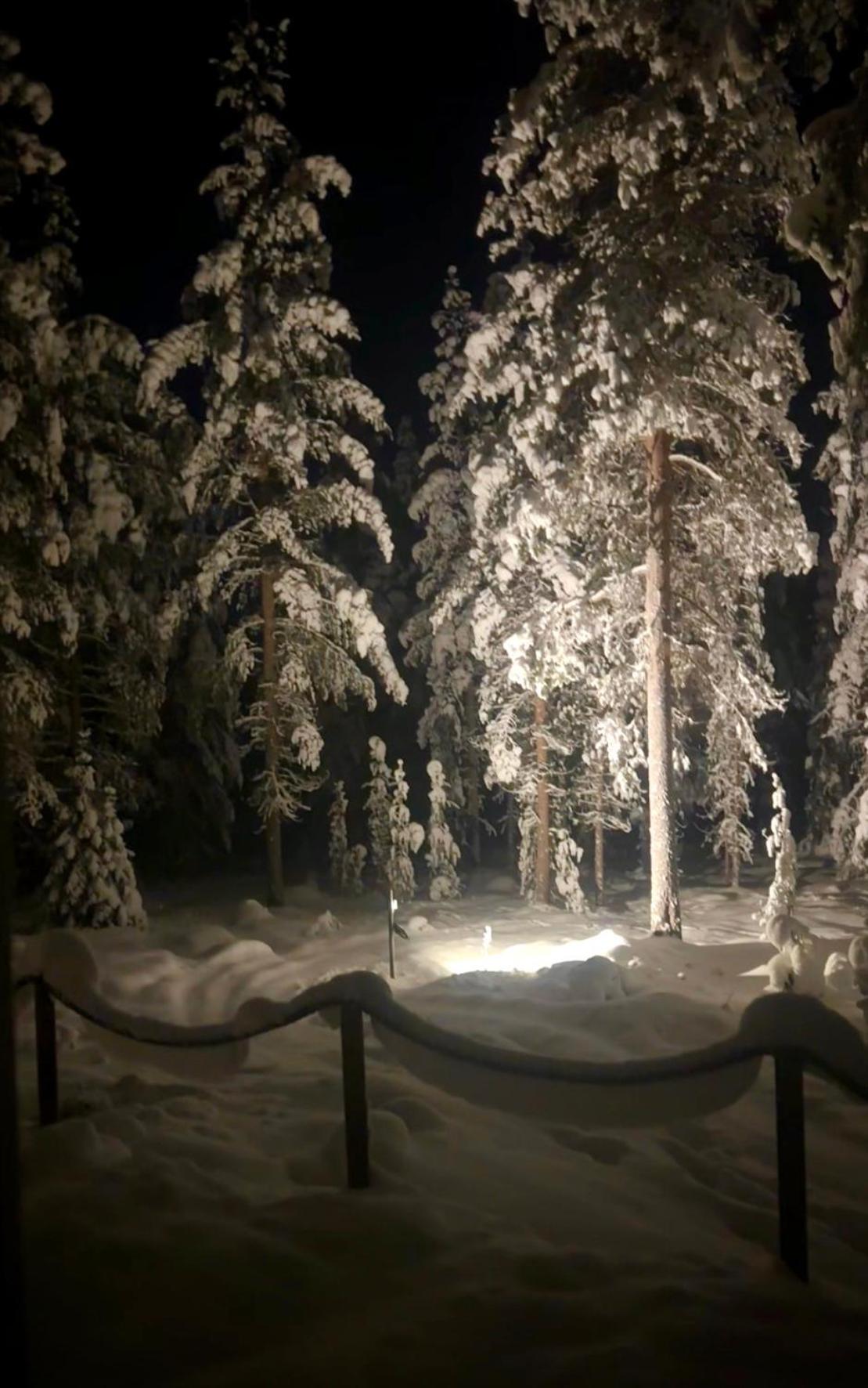 ReindeerCabin PoroMökki LEVI