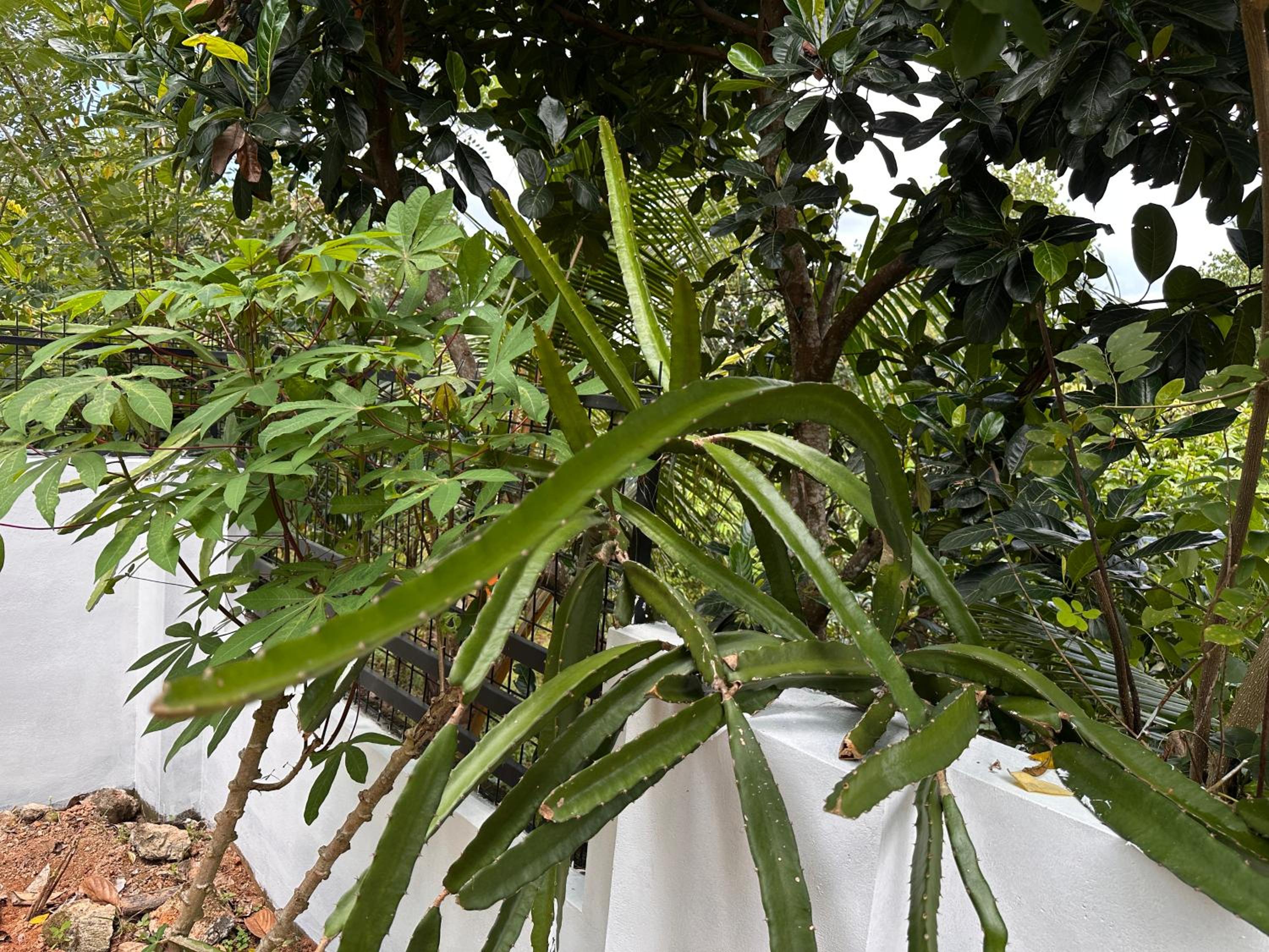 Photo 17