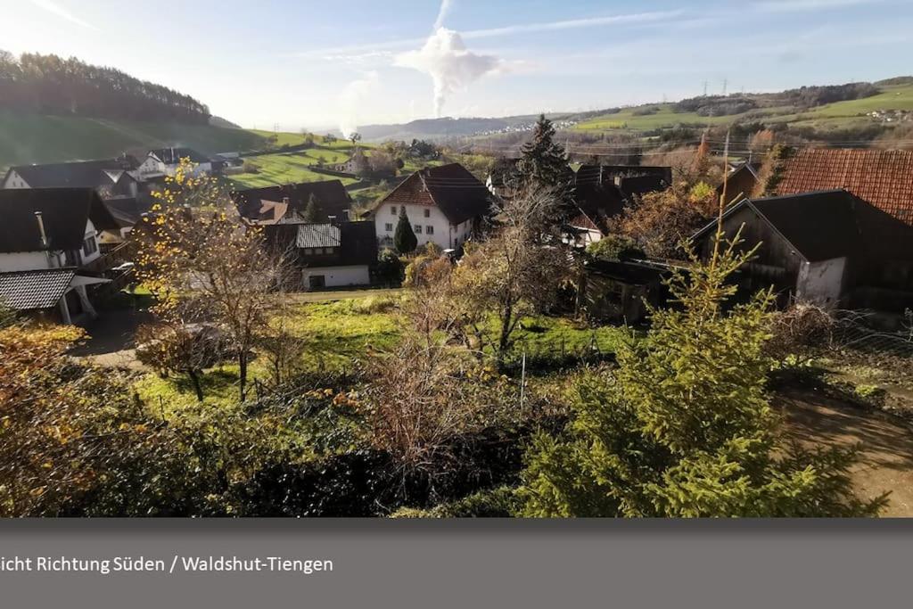Großes Apartment Evergreen bis 8 Personen bei Waldshut view 2