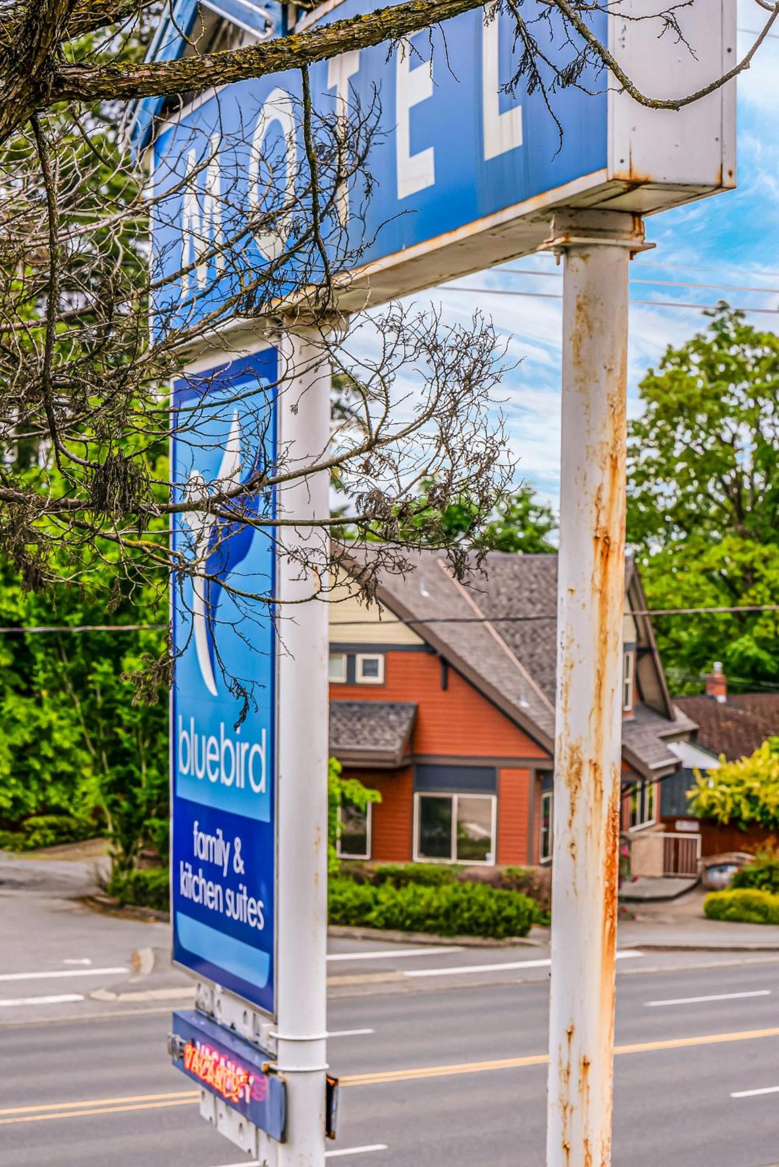 Bluebird Motel