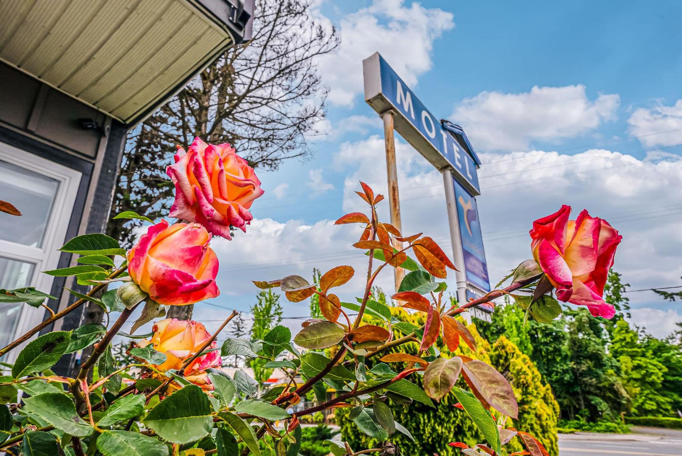 Bluebird Motel