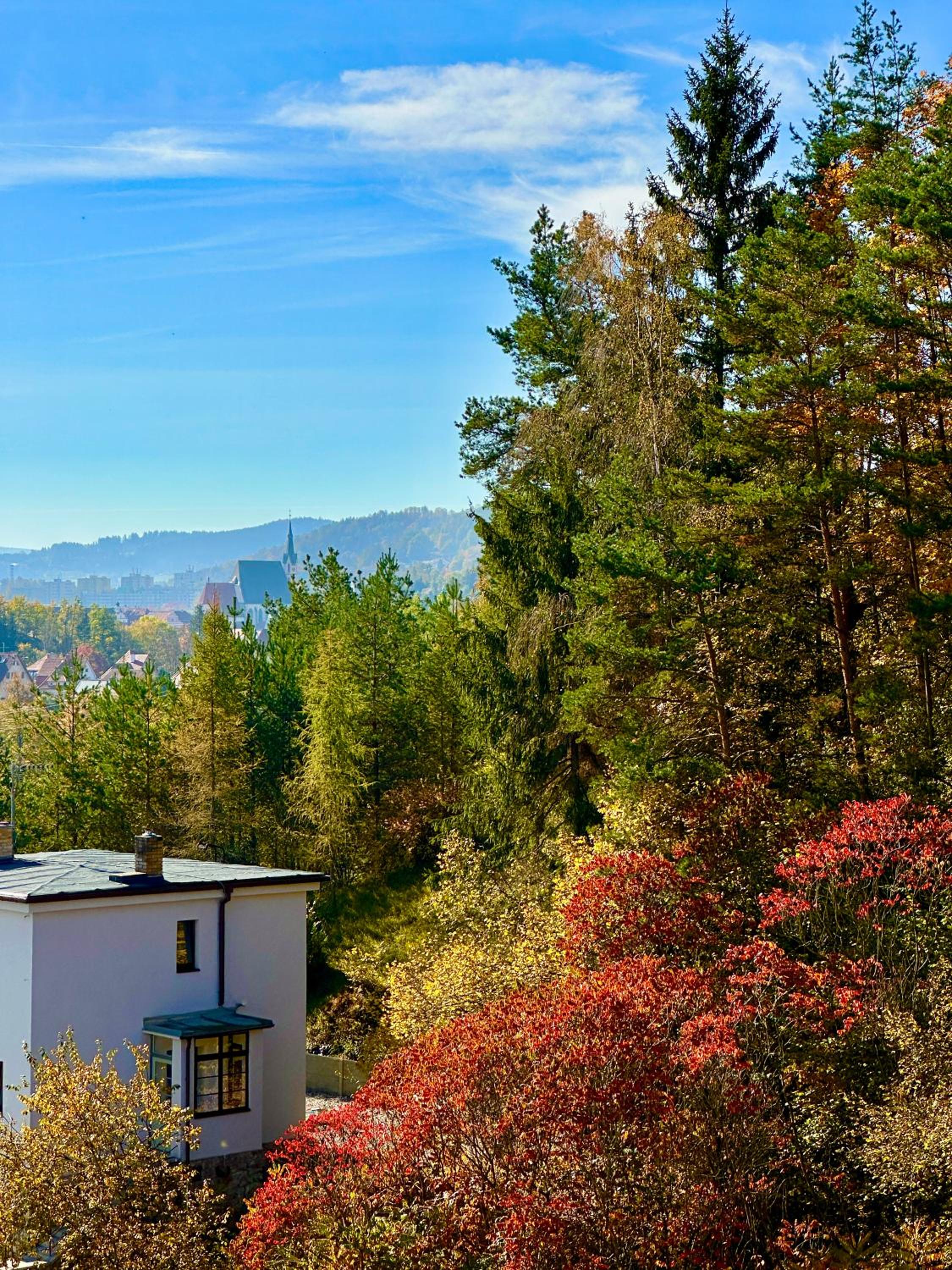 Luxusní Apartmány Krumlovský Vltavín