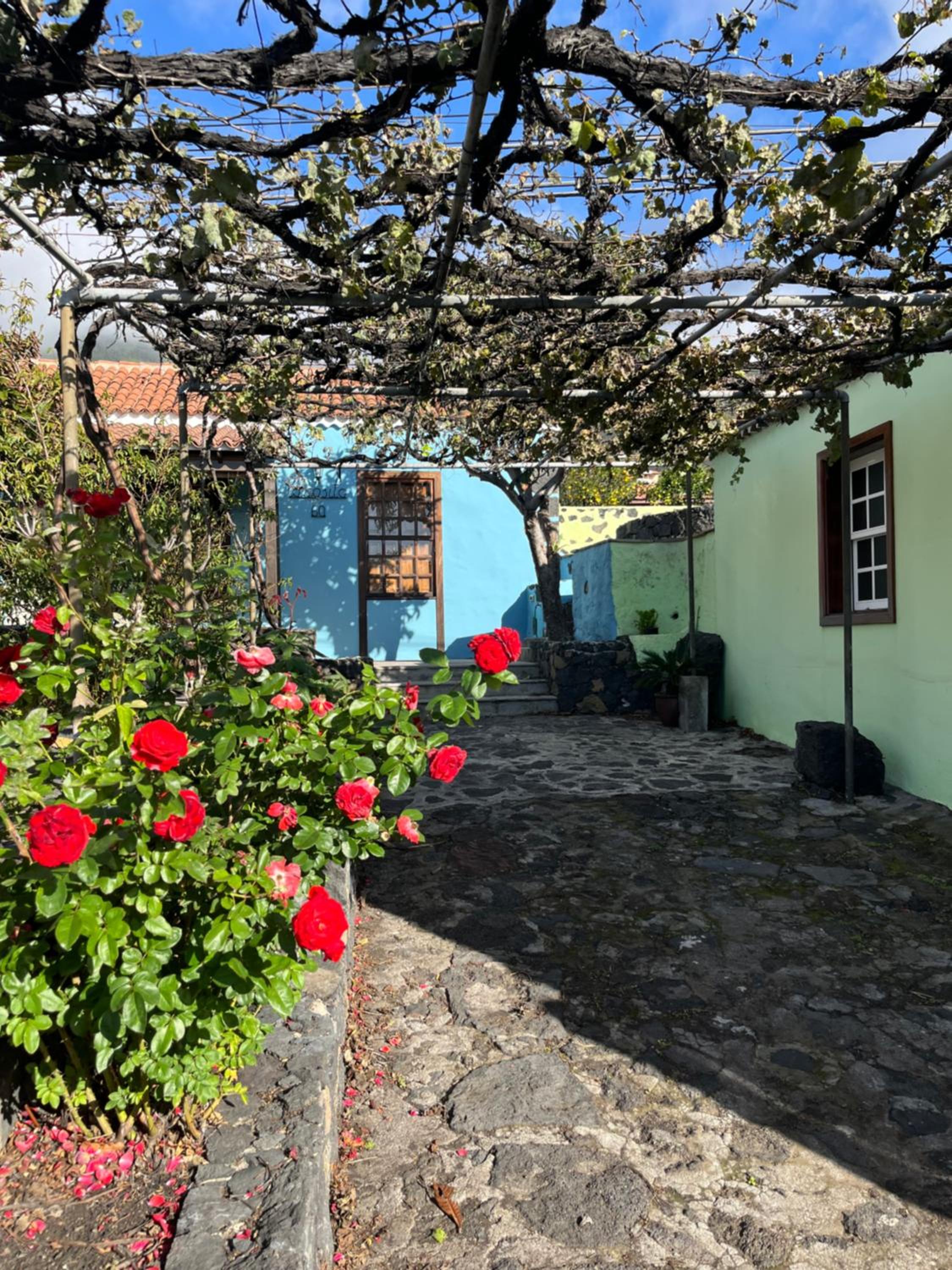 La Casita Azul